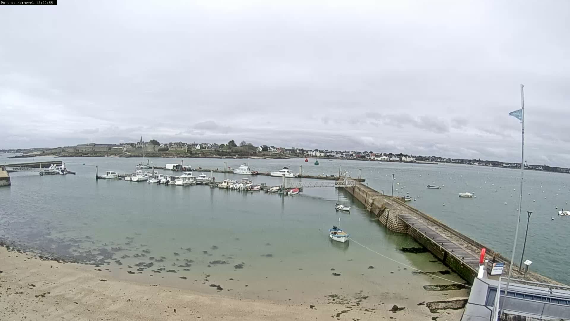 A small harbor filled with docked boats is seen under an overcast sky, with a town visible in the distance across the water.