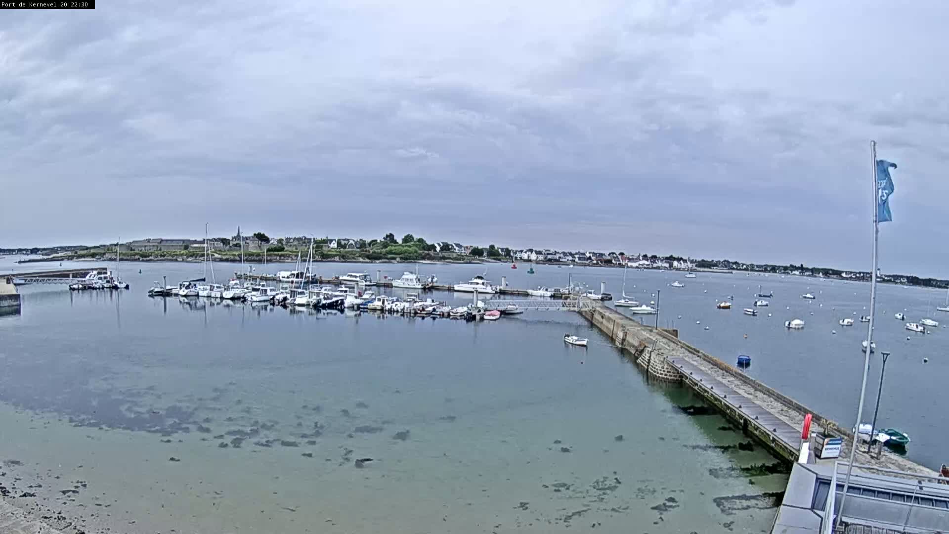 A calm harbor filled with numerous boats is shown under an overcast sky.