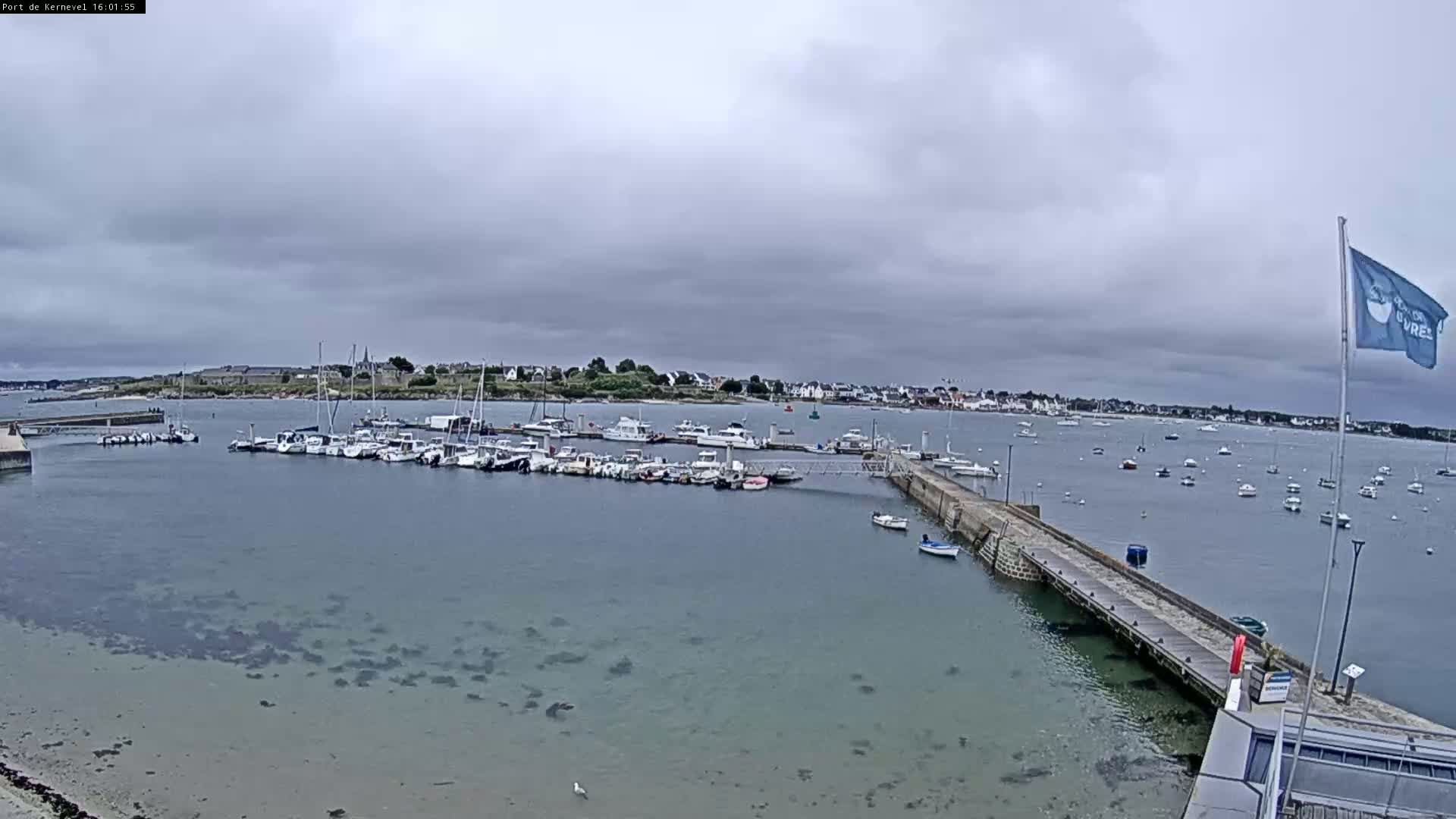 A marina filled with numerous boats is situated in a calm bay under an overcast sky.