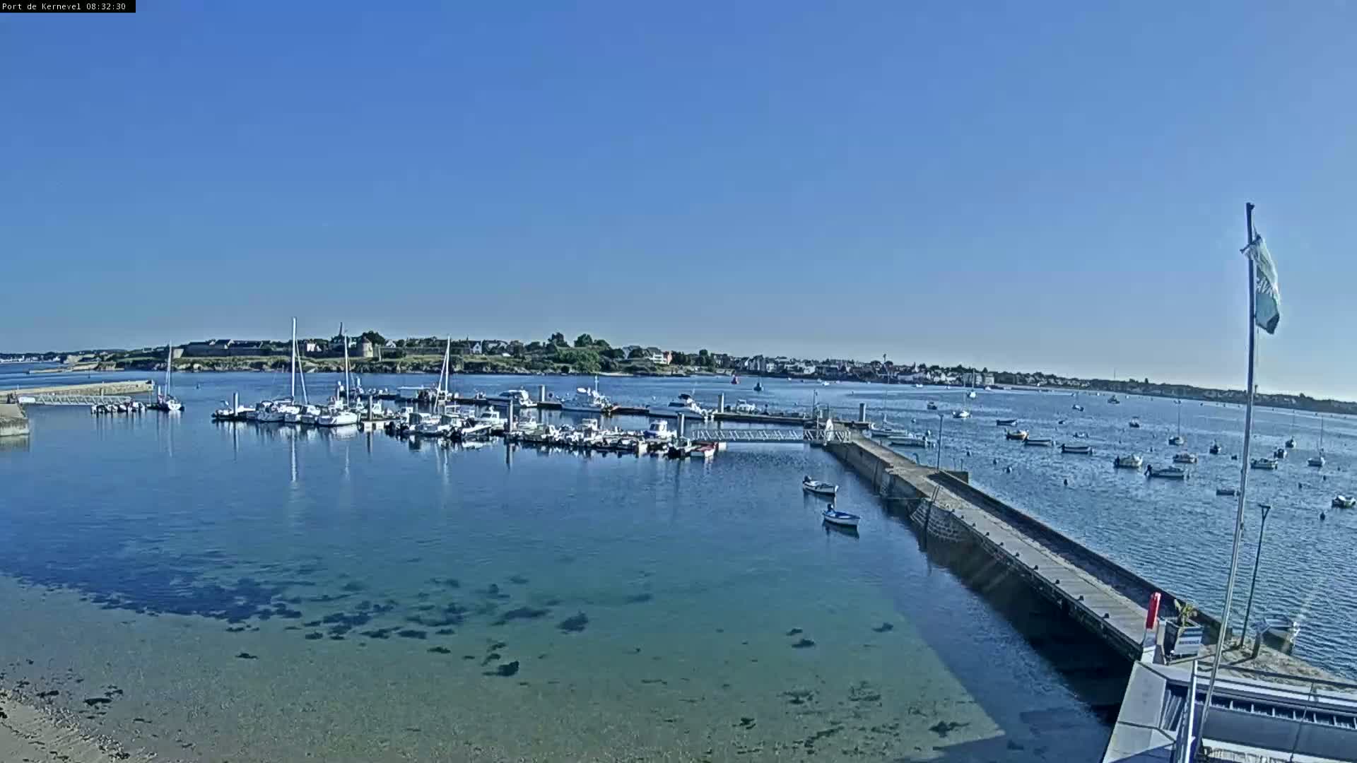 A marina filled with numerous boats is situated on calm, clear water under a bright, sunny sky.