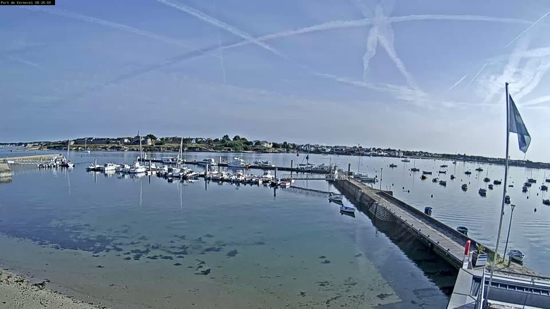 A calm harbor filled with numerous boats under a clear, sunny sky with contrails.
