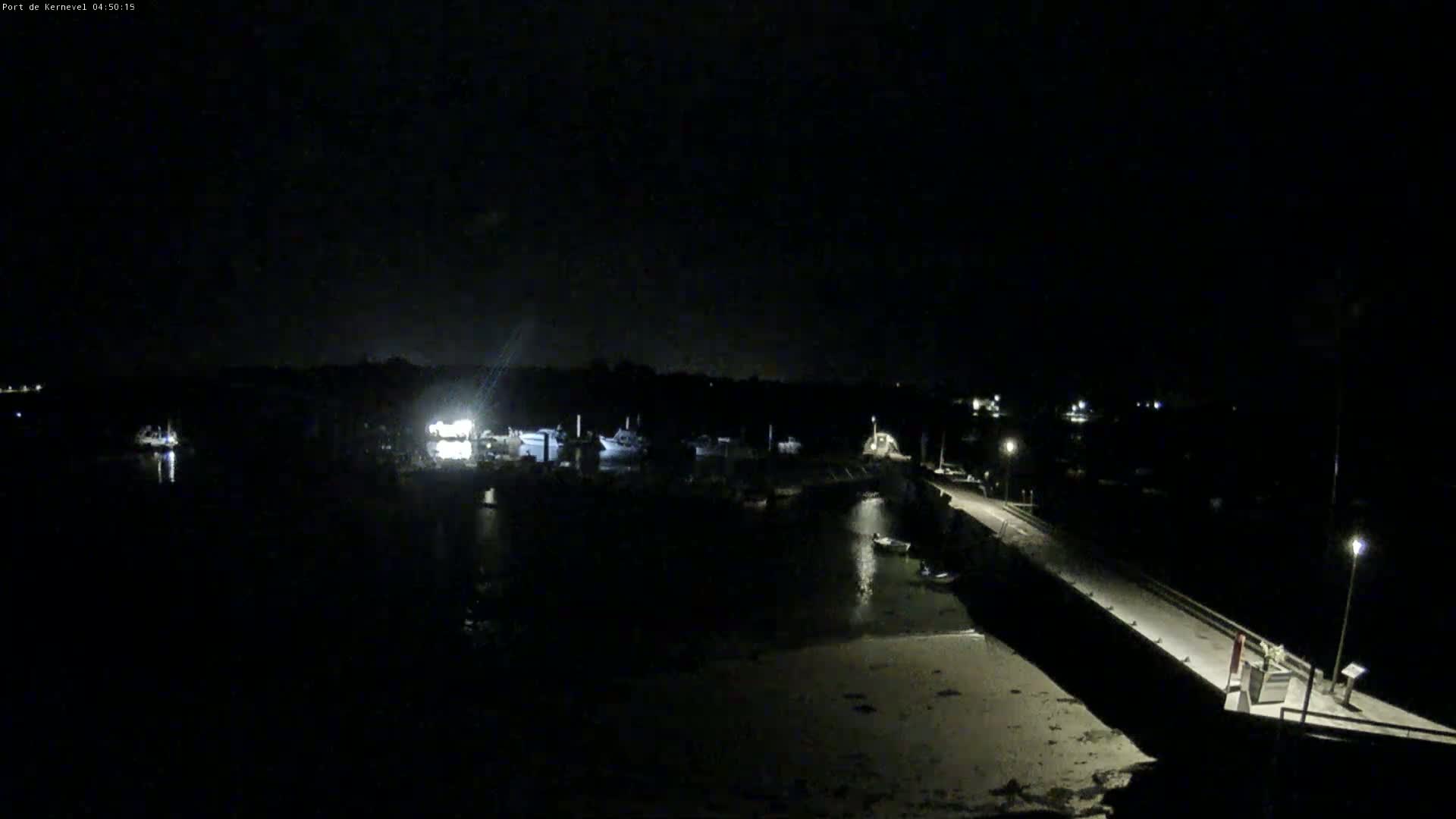 A nighttime view of a harbor with several boats docked, a long pier extending into the water, and dimly lit surroundings.