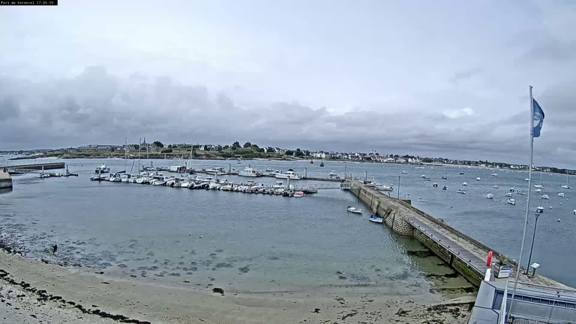 A harbor filled with numerous boats is seen under an overcast sky, with a town visible in the distance and a sandy beach in the foreground.