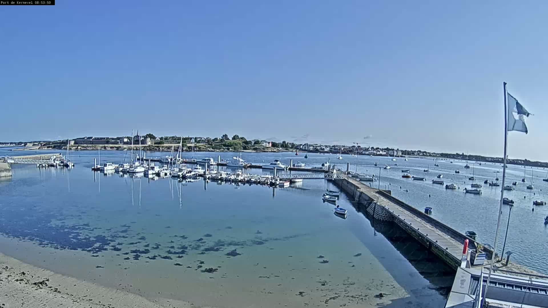 A calm harbor filled with numerous boats is seen under a clear blue sky.