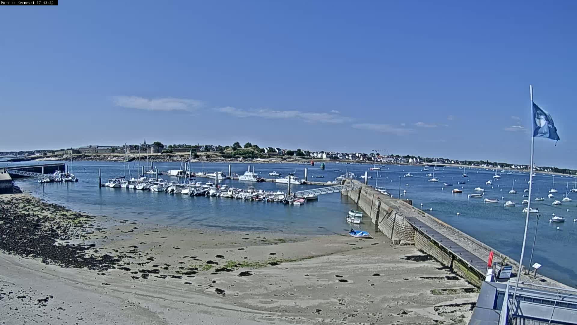 A marina filled with numerous boats is situated next to a sandy shore under a mostly clear blue sky.