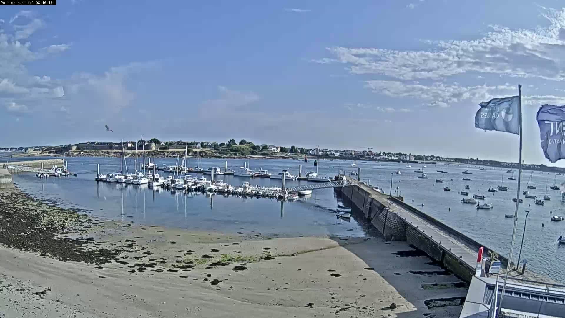 A harbor filled with sailboats and motorboats under a mostly sunny sky, with a sandy shore in the foreground.