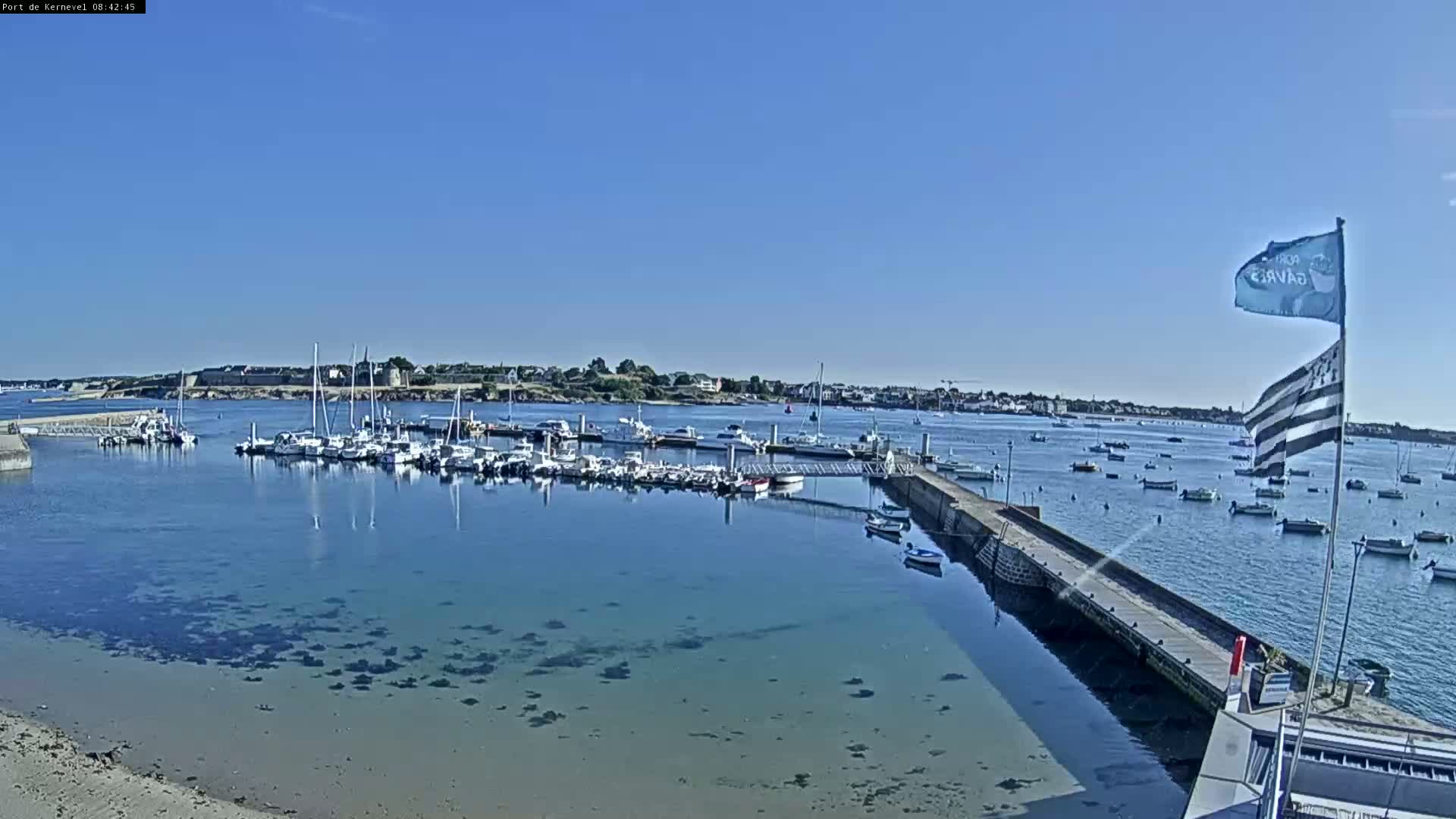 A marina filled with numerous boats is situated in calm, clear water under a bright, sunny sky.