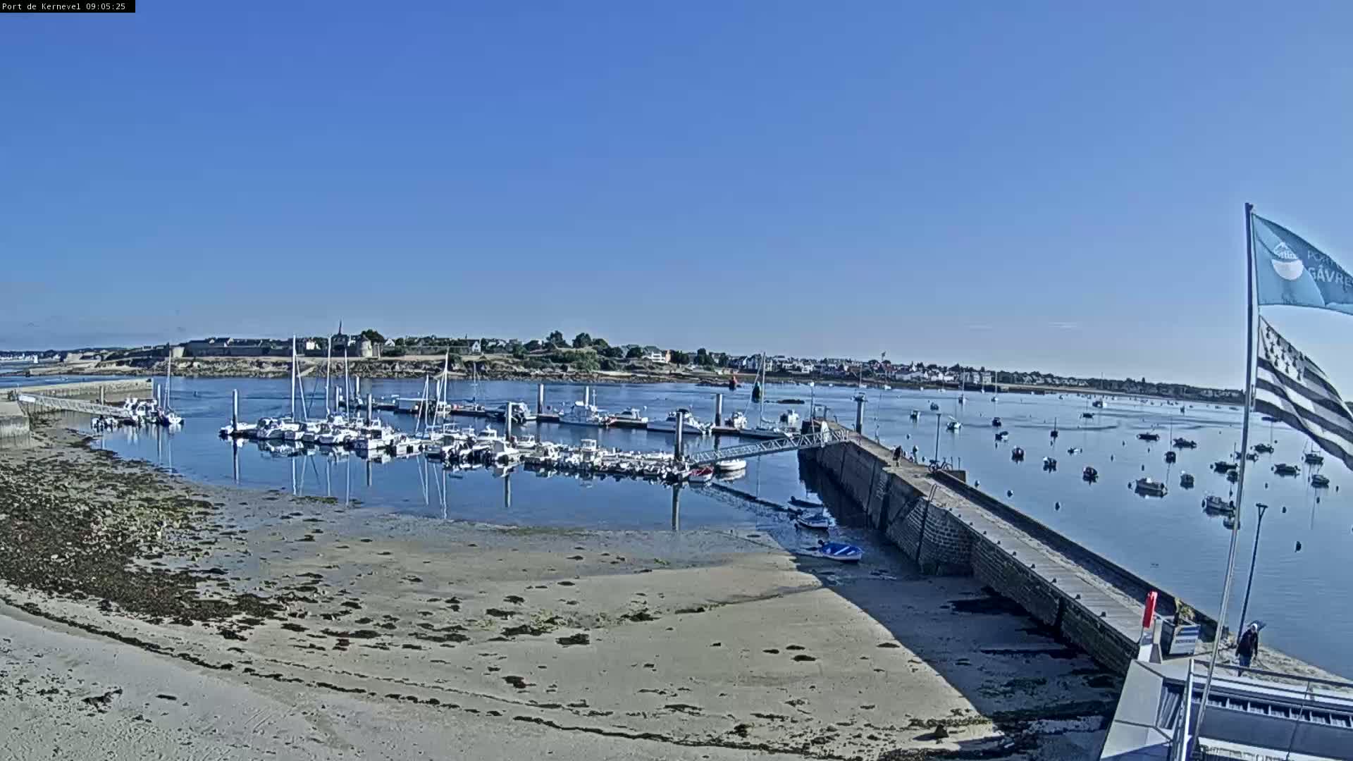 A marina filled with numerous boats is situated on calm water under a clear blue sky, with a sandy beach visible in the foreground.