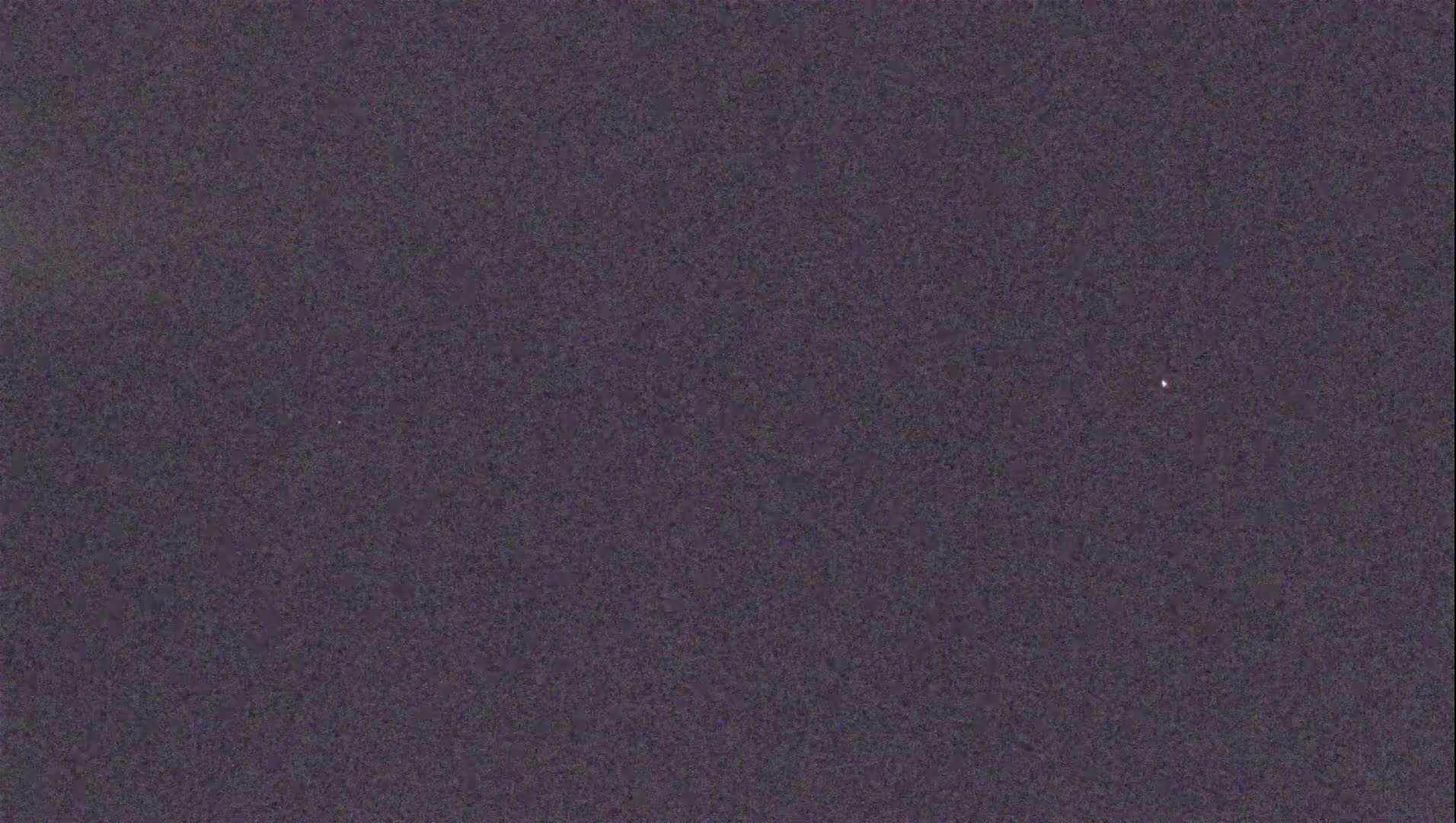 A dark purplish-gray textured surface is shown.