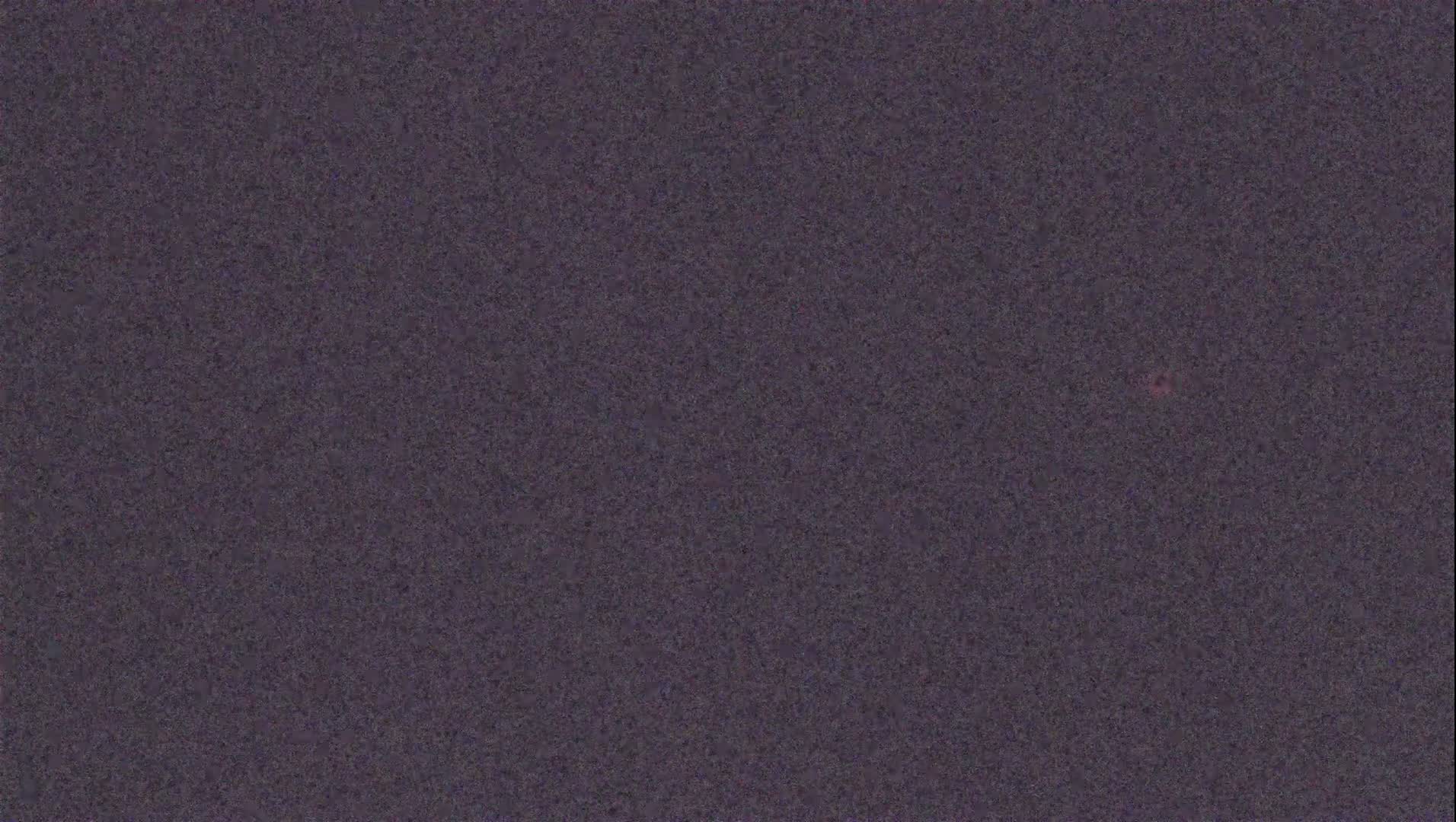A dark gray, speckled texture fills the image.
