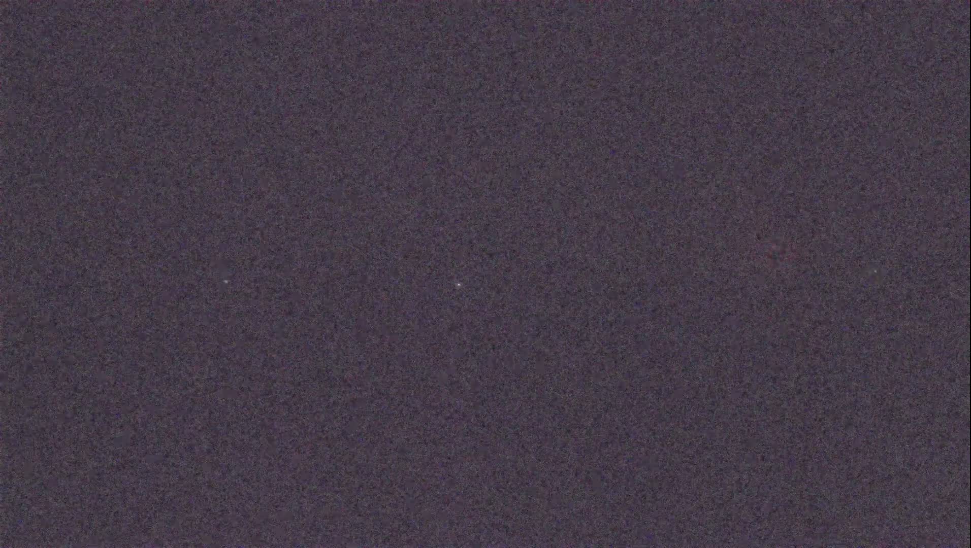 A dark purple, textured surface is speckled with a few very faint lighter spots.