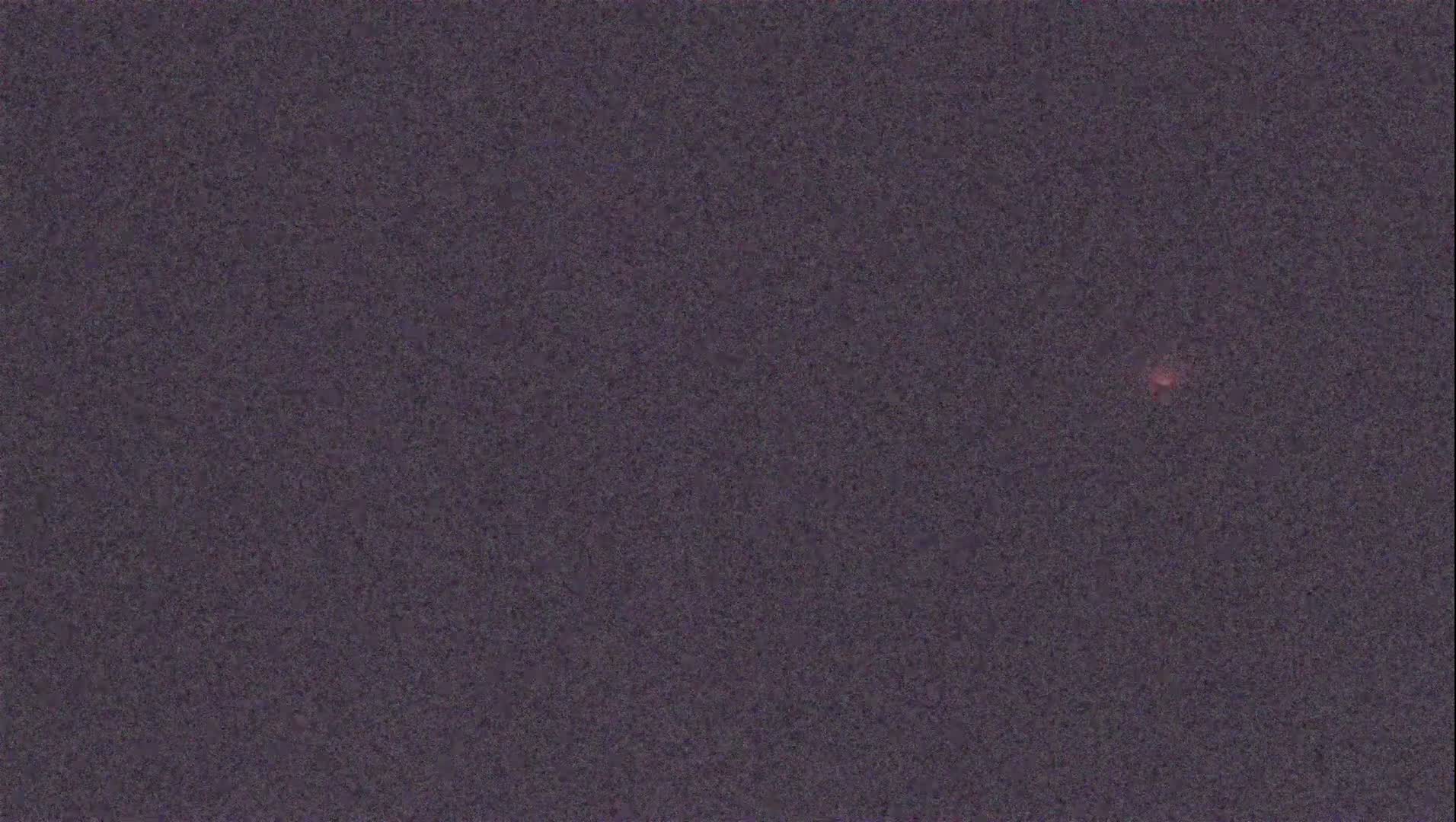 A dark purplish-gray, textured background with a small, faint reddish-pink speck near the center.