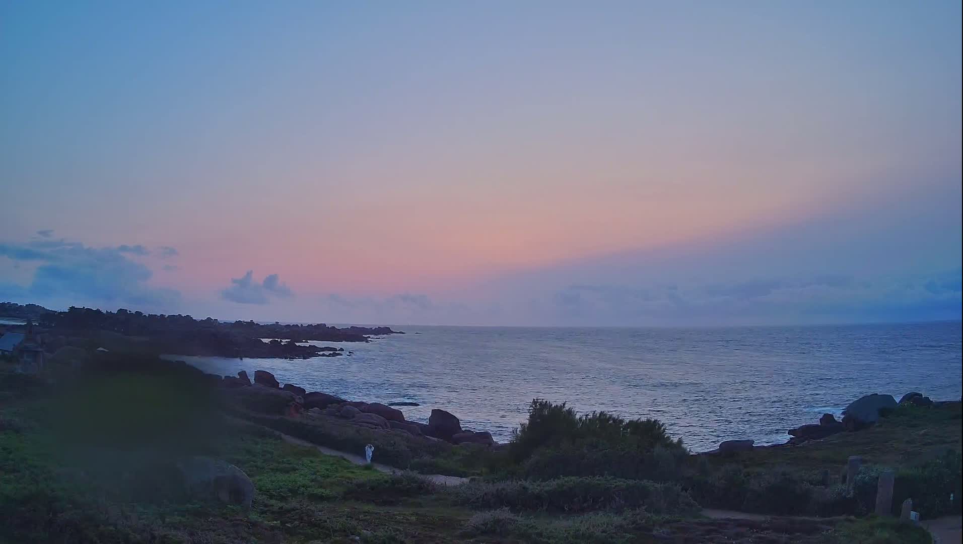 A pink and purple sunset over a calm ocean, with rocky coastline and sparse vegetation in the foreground.