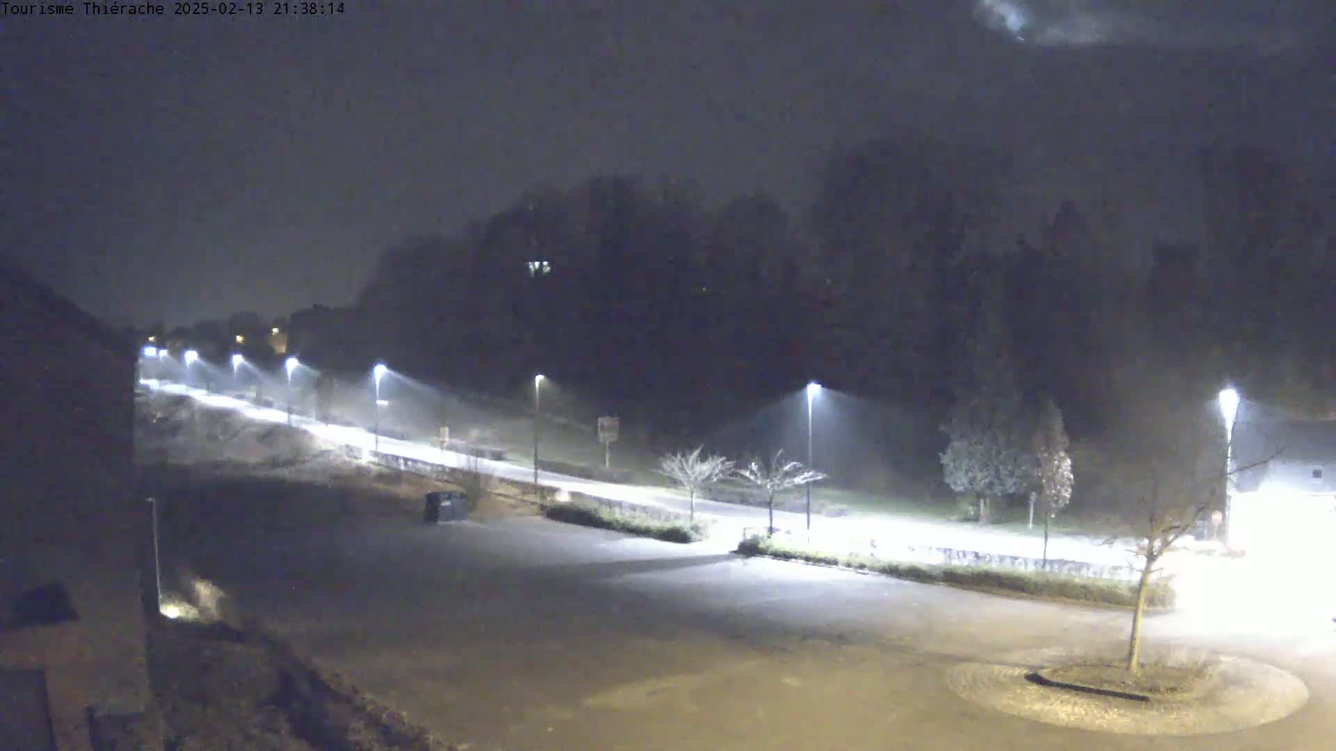 A nighttime, snowy scene shows a road lit by streetlights leading to a dark line of trees.