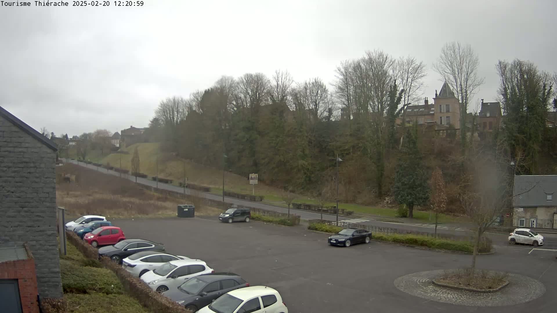 A parking lot with several cars, overlooked by a hill with trees and buildings, on an overcast day.