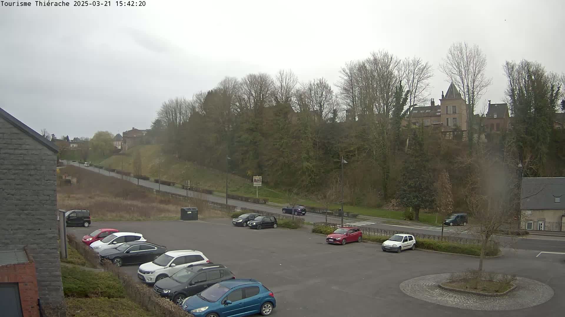 A parking lot with several cars is situated below a hill covered in bare trees, overlooking a road and buildings beyond under an overcast sky.