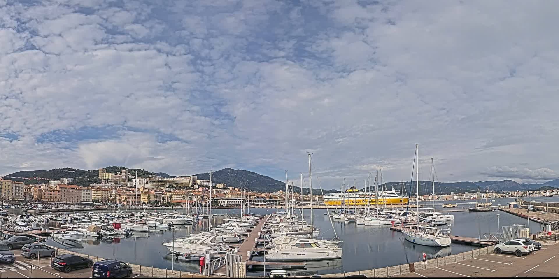 A harbor filled with numerous sailboats and yachts is situated in front of a city skyline under a partly cloudy sky.