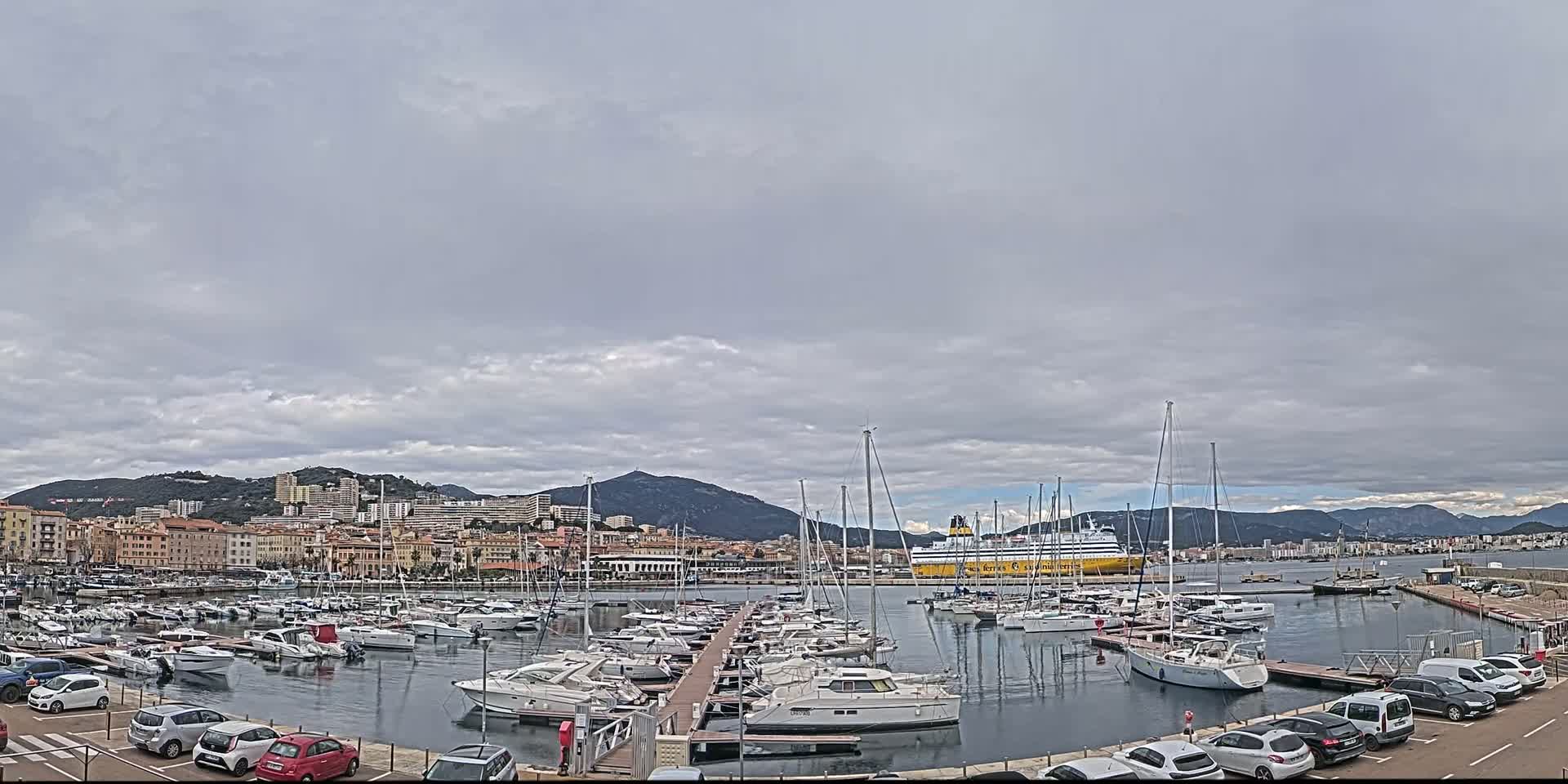 A harbor filled with numerous boats and yachts is situated before a city skyline under a cloudy sky.