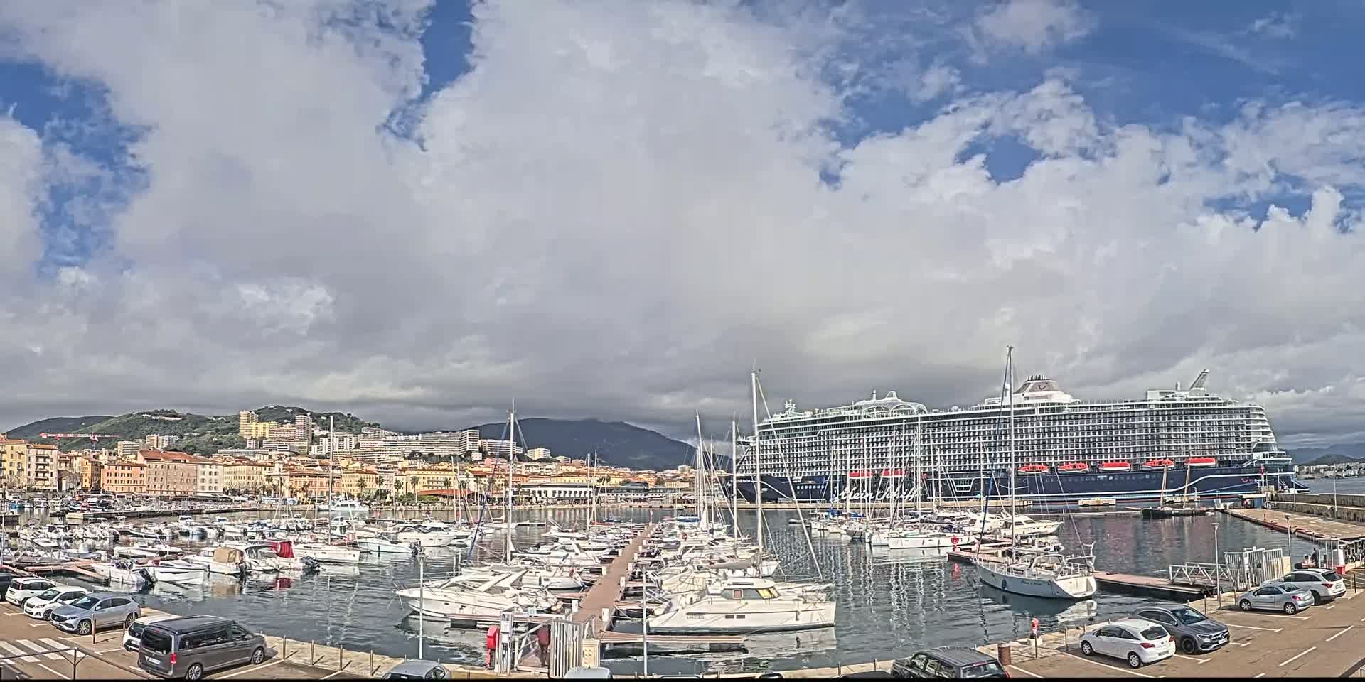 A large cruise ship is docked in a harbor filled with numerous smaller boats, under a partly cloudy sky.