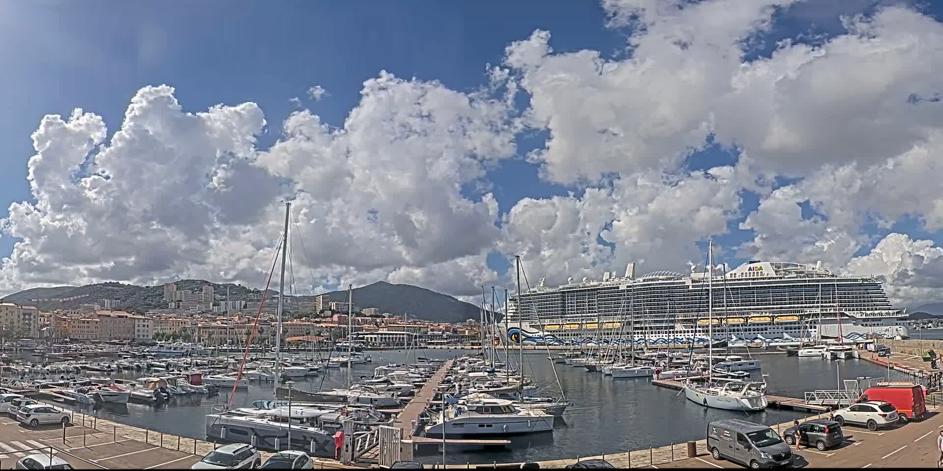 A large cruise ship is docked in a harbor filled with many smaller boats, under a partly cloudy sky.