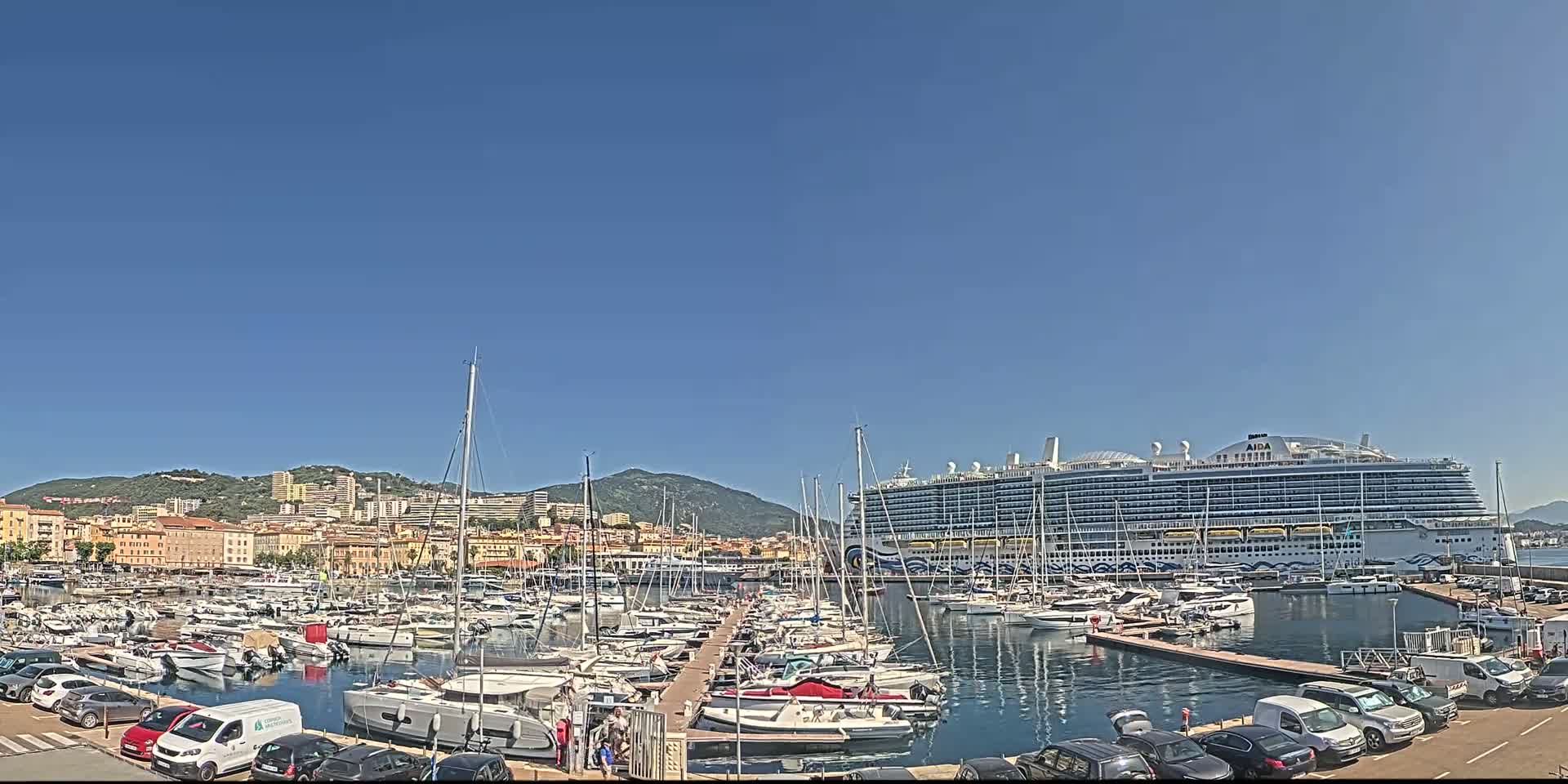 A large cruise ship is docked in a harbor filled with numerous smaller boats and yachts, under a clear blue sky.