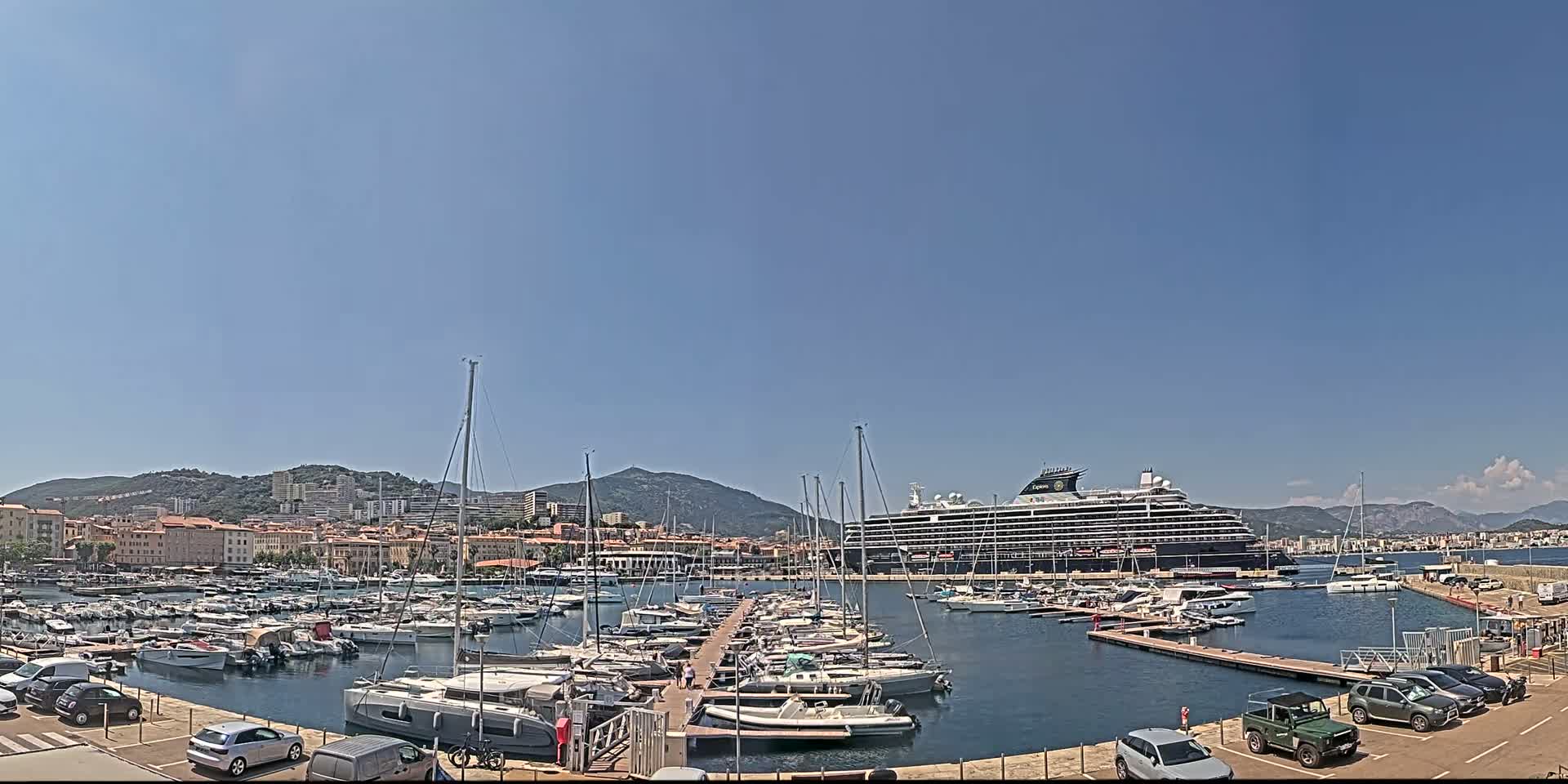 A large cruise ship is docked in a harbor filled with many smaller boats, under a clear blue sky.