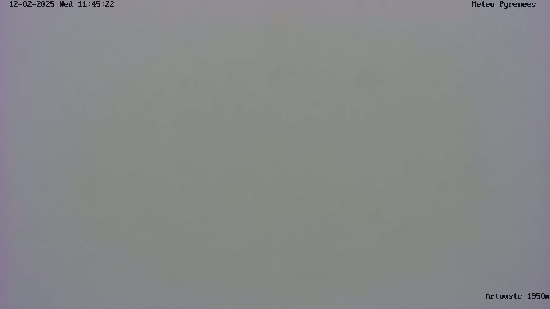 A uniformly light gray, overcast sky is visible.