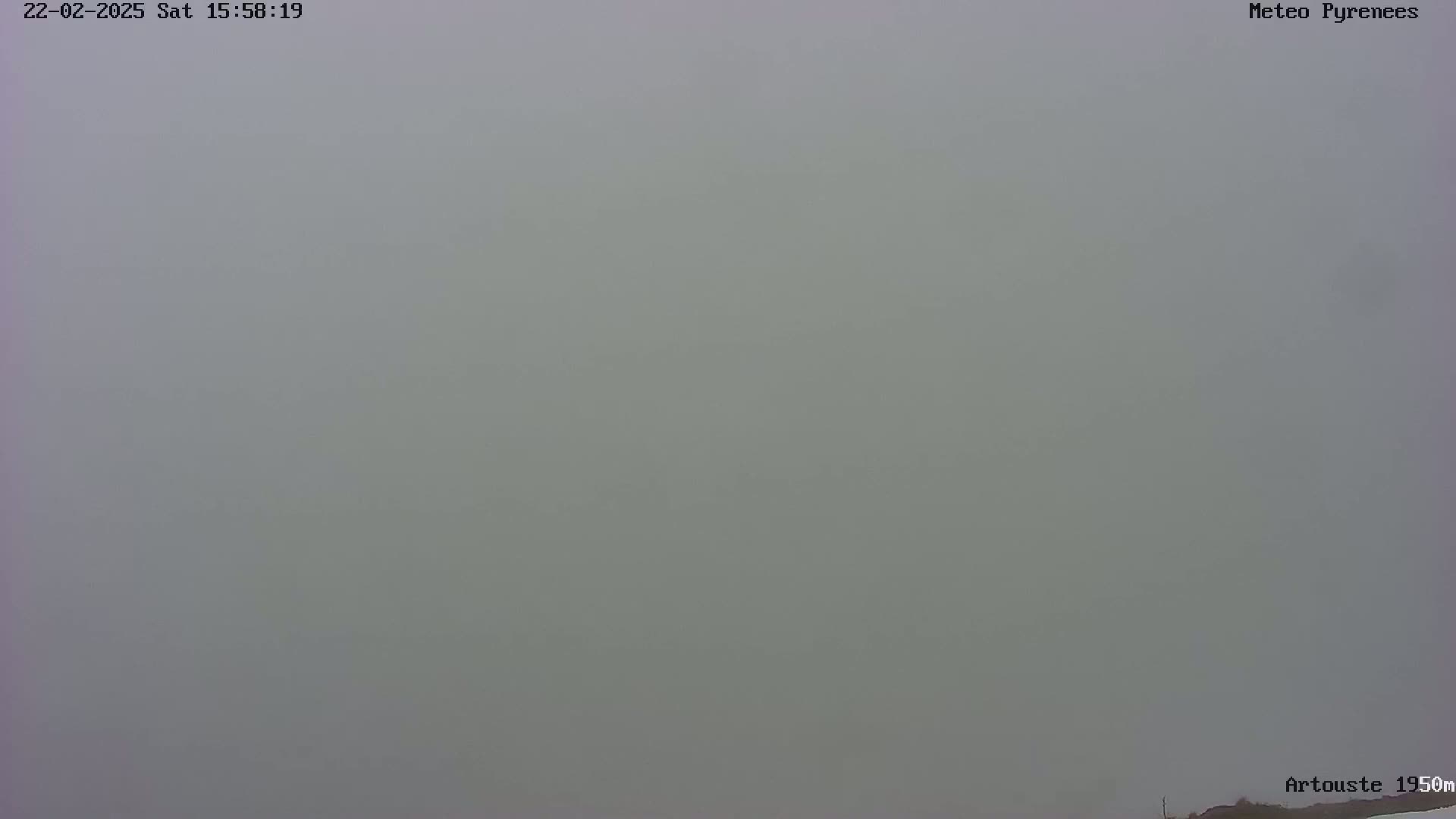 A thick fog obscures the view of an outdoor scene.