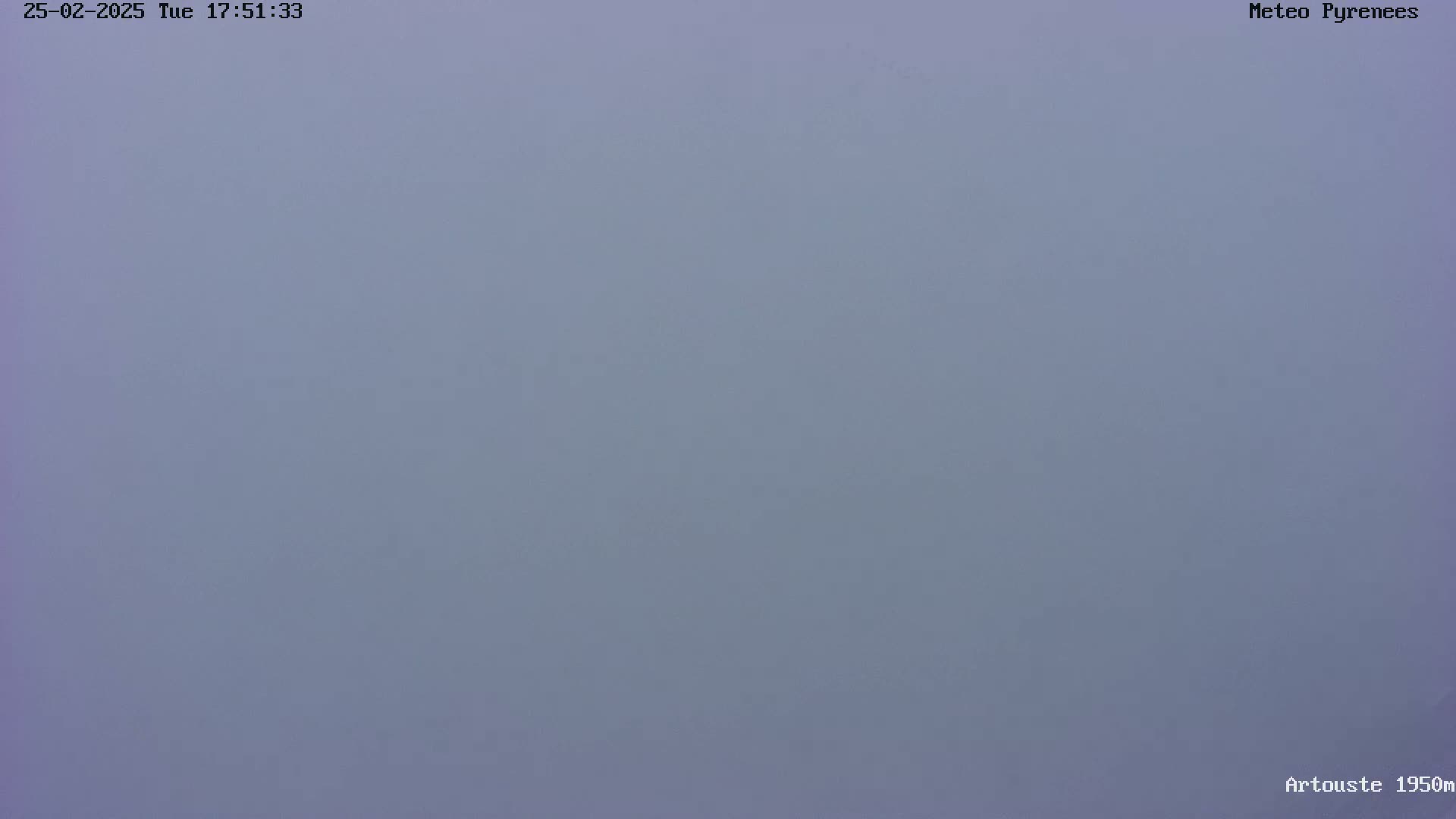 A uniformly light-grey, overcast sky is visible.