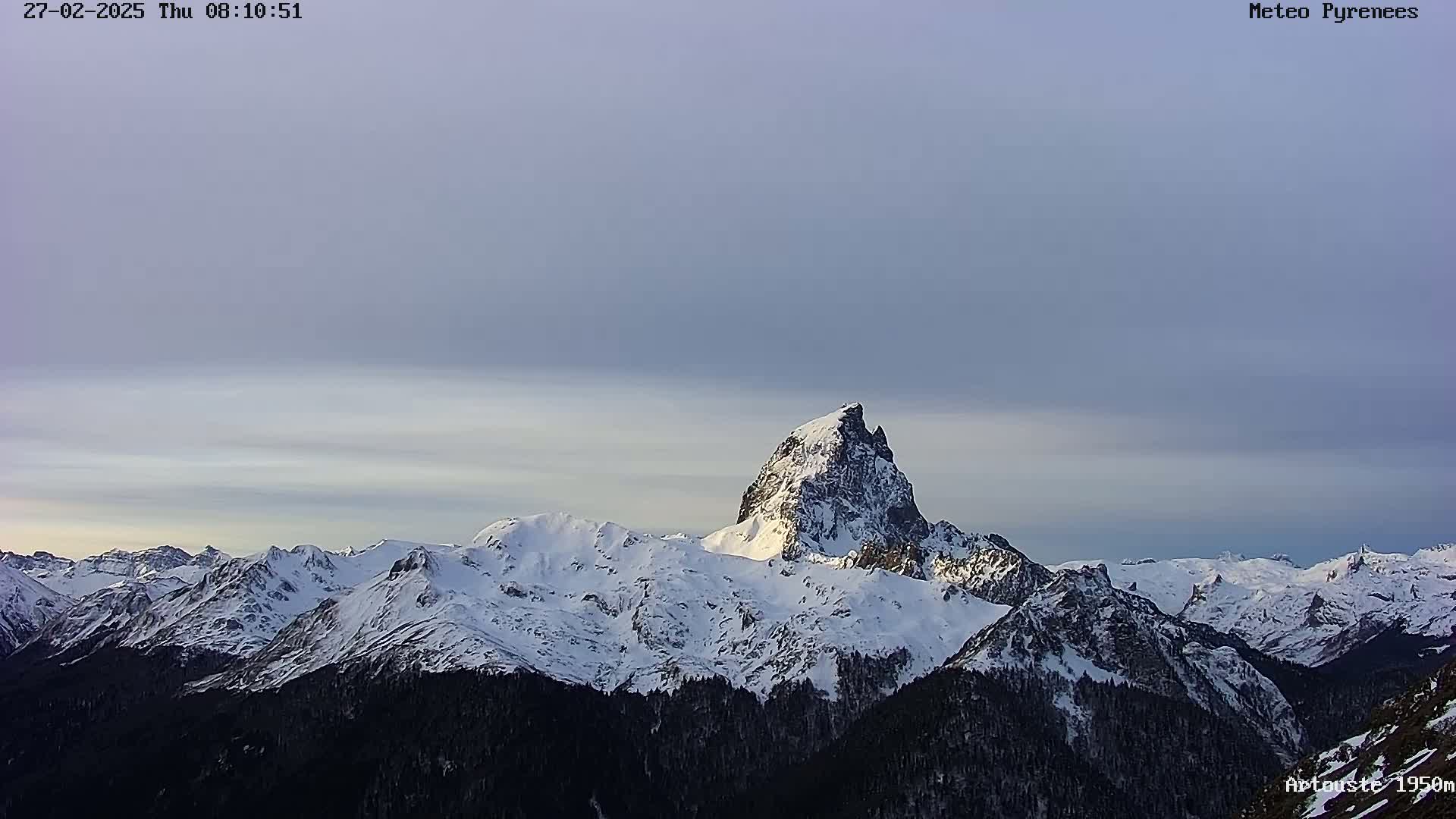 A snow-covered mountain range is visible under a pale, cloudy sky.