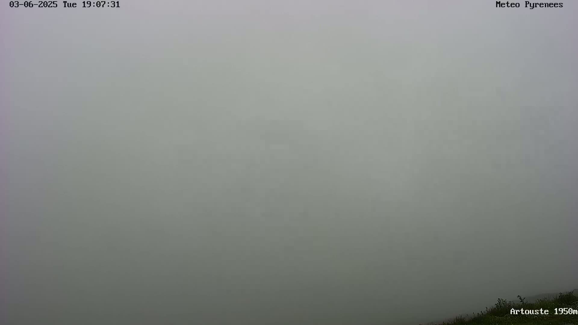 A thick fog obscures the view of a landscape, with only a small amount of vegetation visible at the bottom of the image.