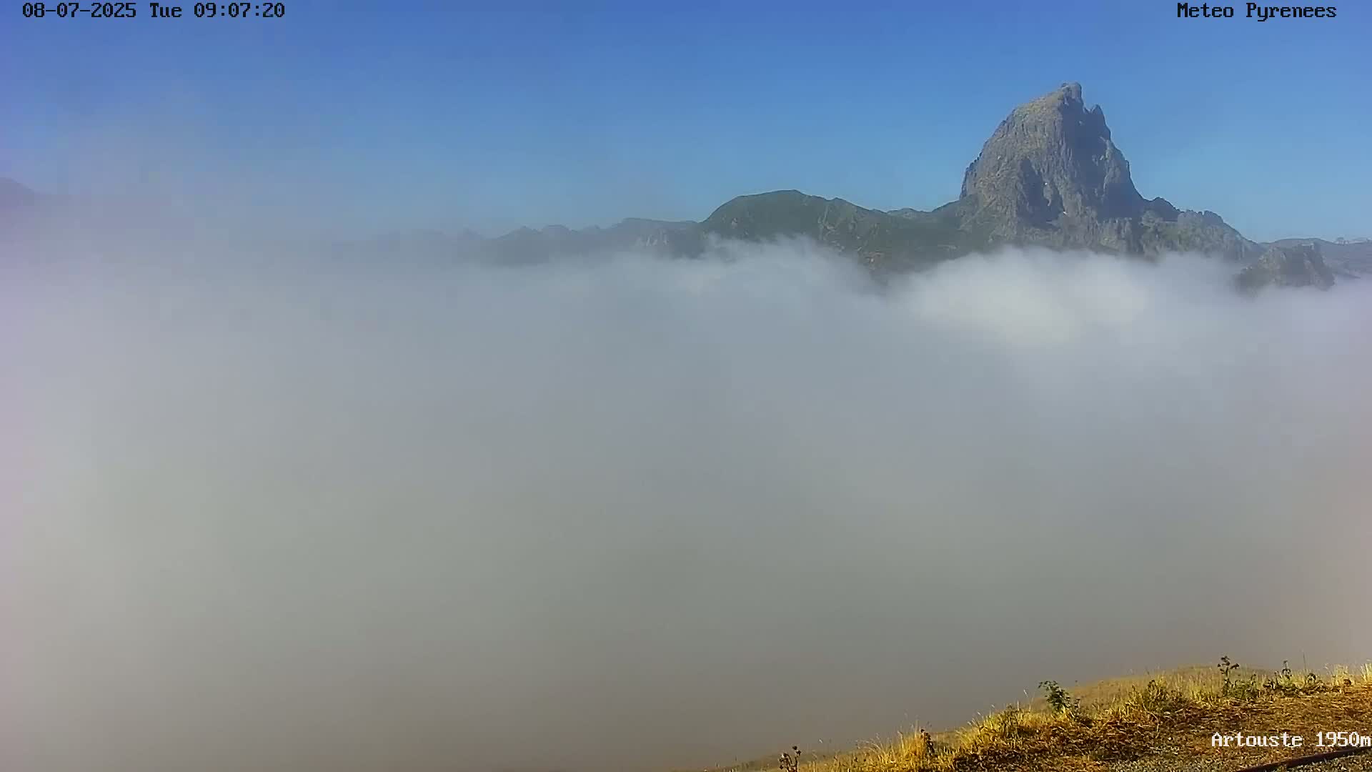 A rocky mountain peak rises above a thick layer of fog under a clear blue sky.