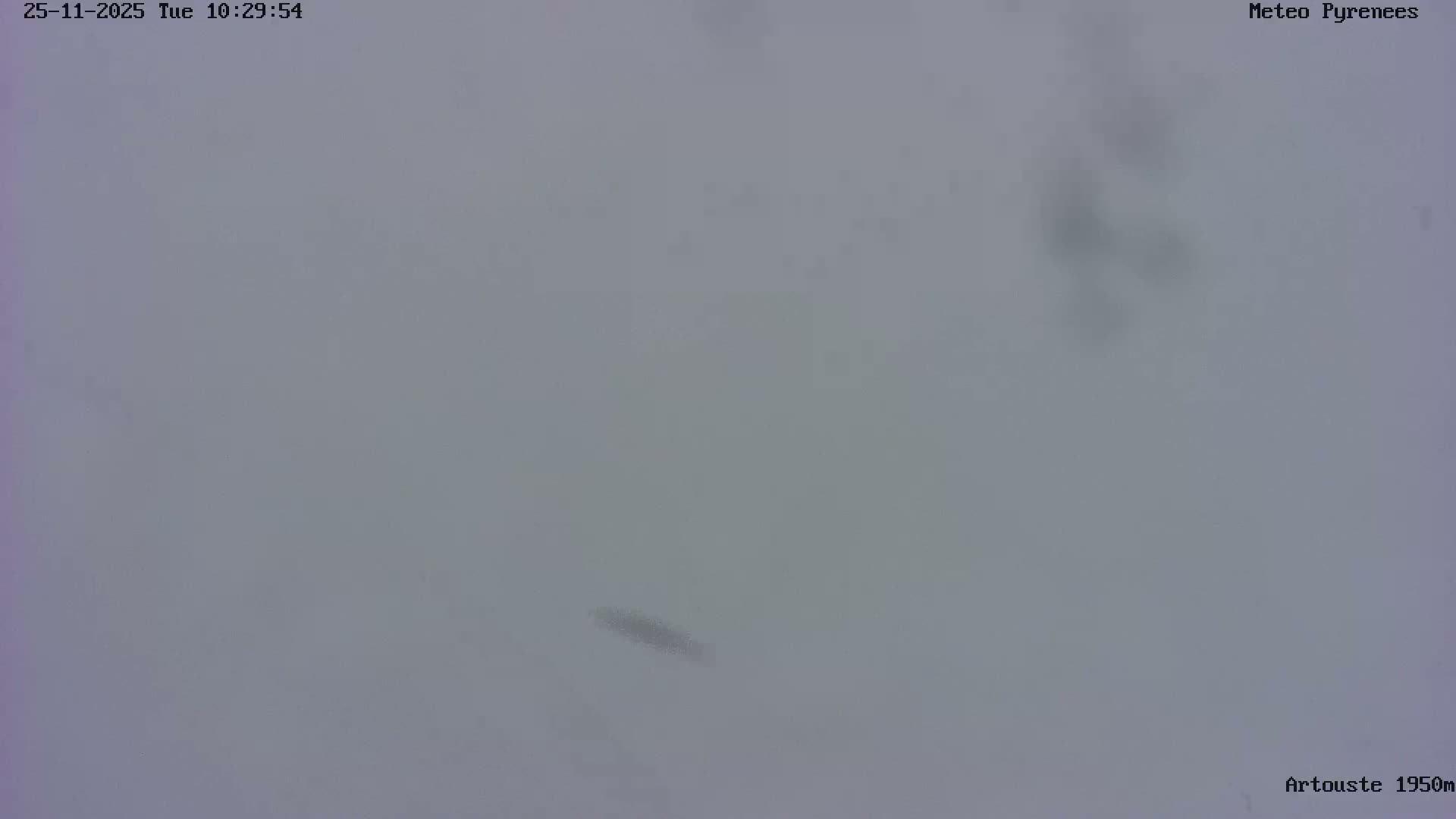 The image shows an outdoor scene completely enveloped in dense fog or clouds, resulting in extremely low visibility.