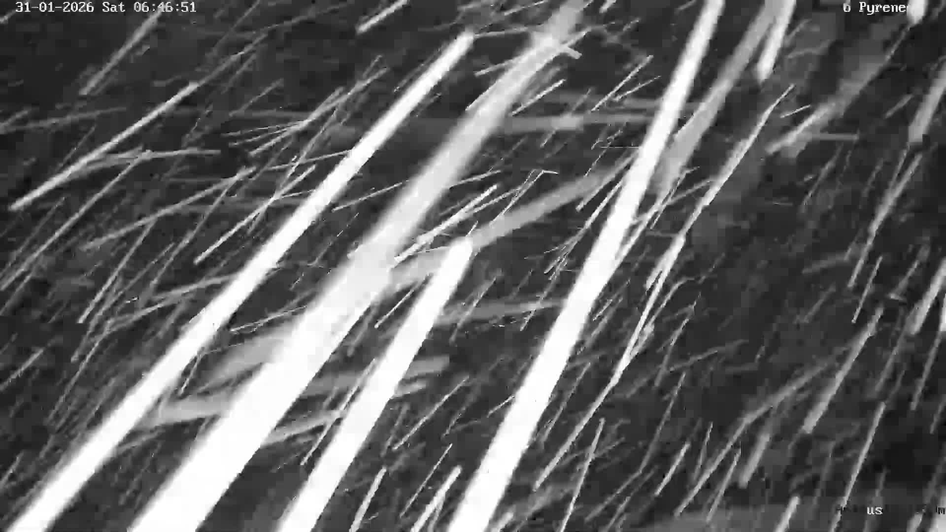 Laruns, Artouste Mount Live Cam - Oloron-Sainte-Marie, Pyrenees-Atlantiques, Nouvelle-Aquitaine, France