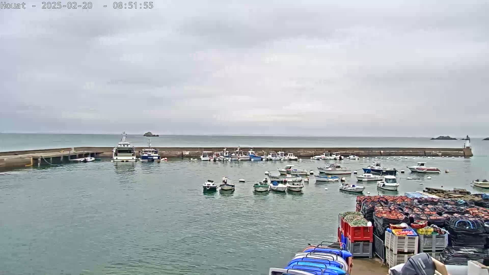 A harbor filled with numerous small boats and a larger ferry is seen under an overcast sky.