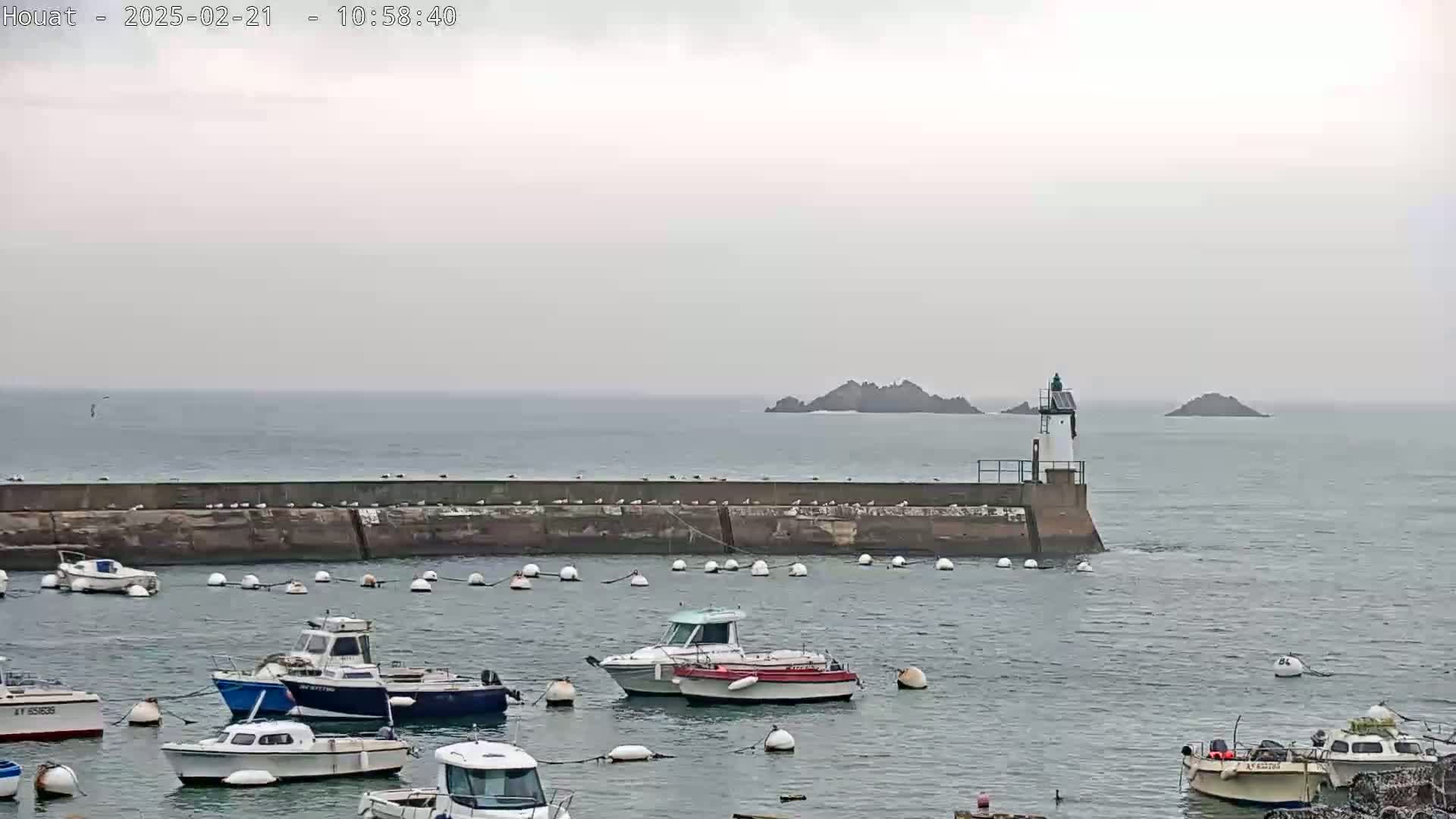 A harbor filled with small motorboats sits behind a seawall on an overcast day, with a lighthouse and small islands visible in the distance.