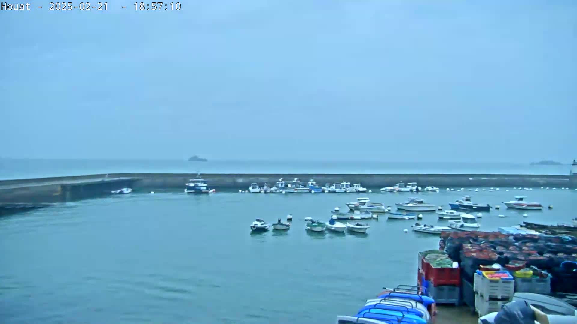 A harbor filled with numerous small boats is seen under an overcast sky.