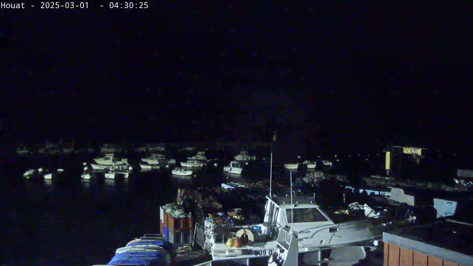 Many boats are docked at a harbor at night under a dark sky.