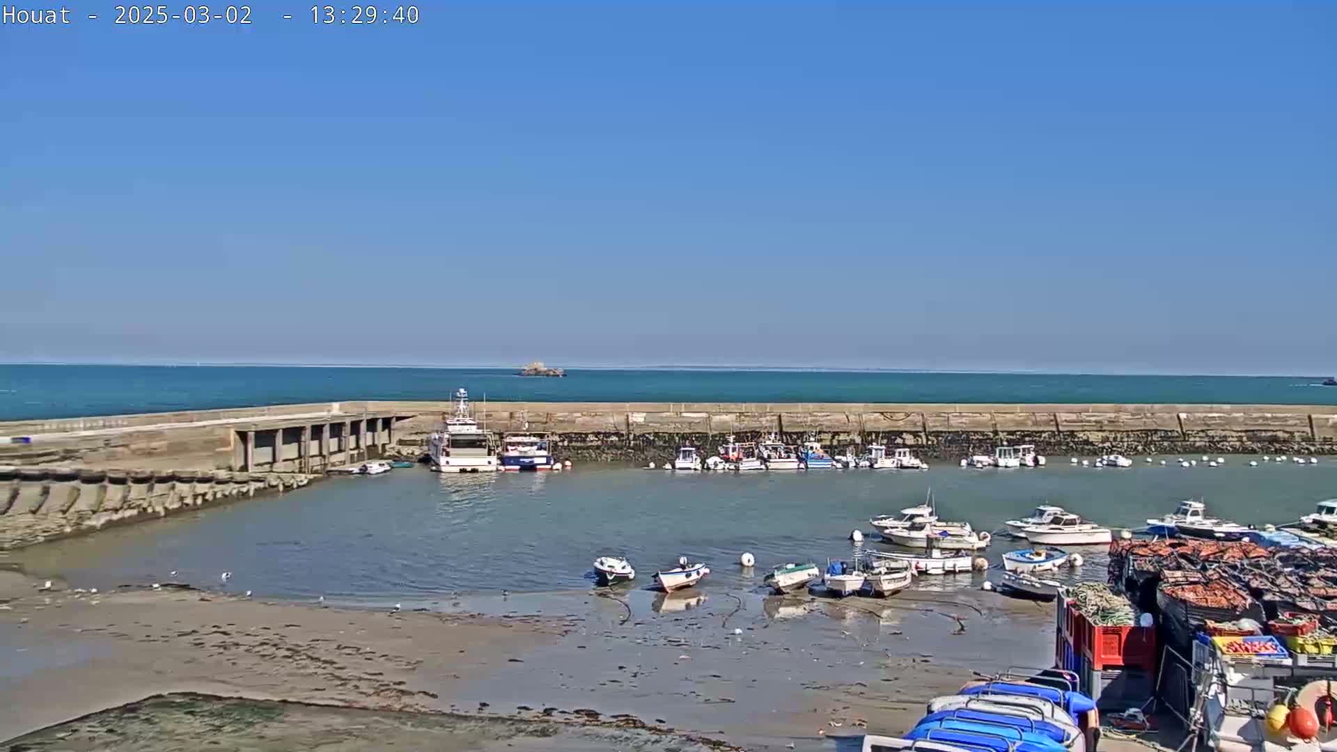 A harbor filled with numerous boats sits on a calm, sunny day, with a calm ocean extending to the horizon.