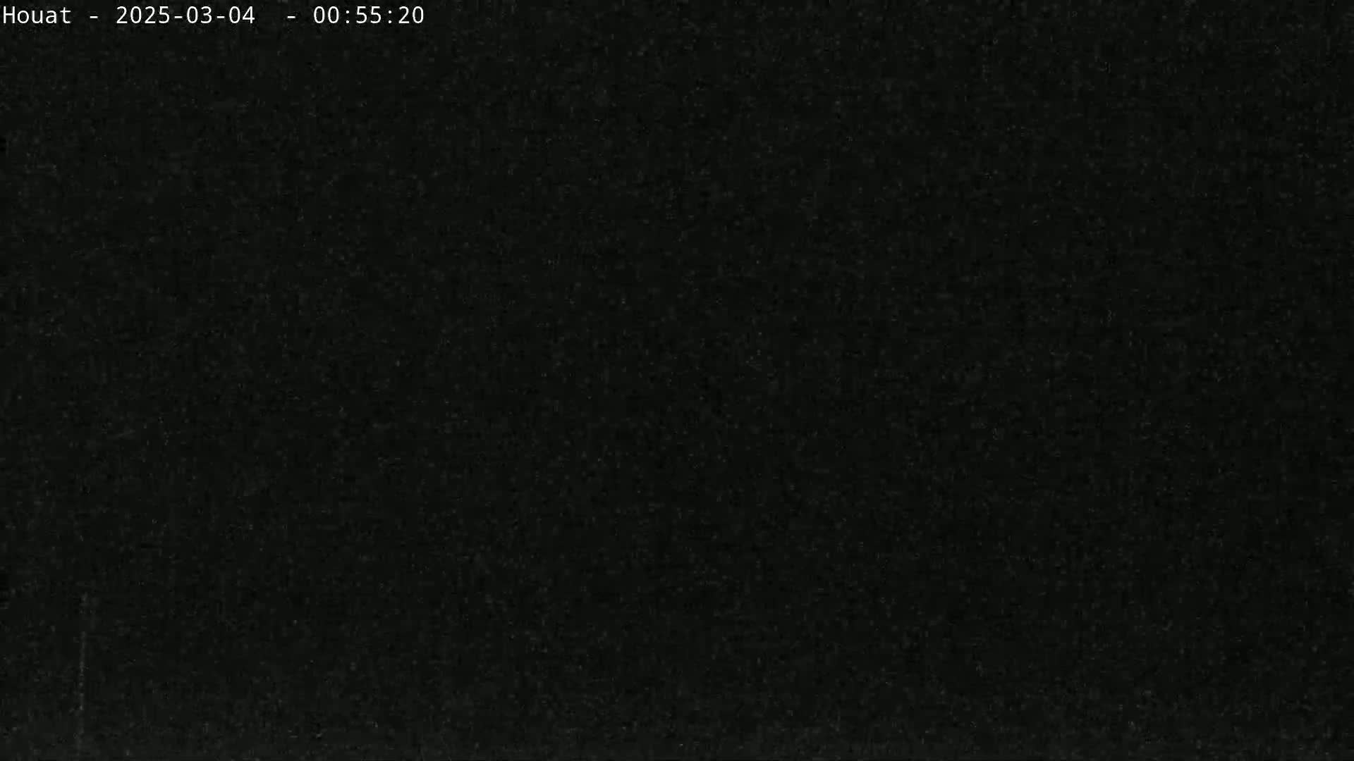 The image is a solid black field with subtle granular texture.