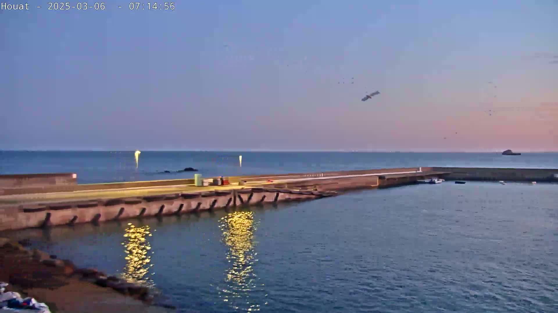 A calm sea at dusk is shown, with a concrete pier extending into the water, several small boats moored in the harbor, and birds flying overhead.