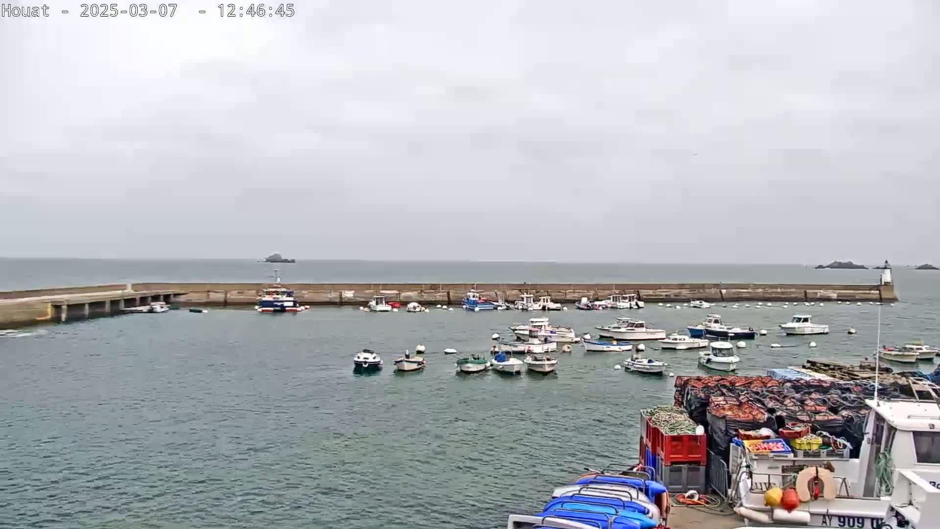 A harbor filled with numerous small boats under an overcast sky.
