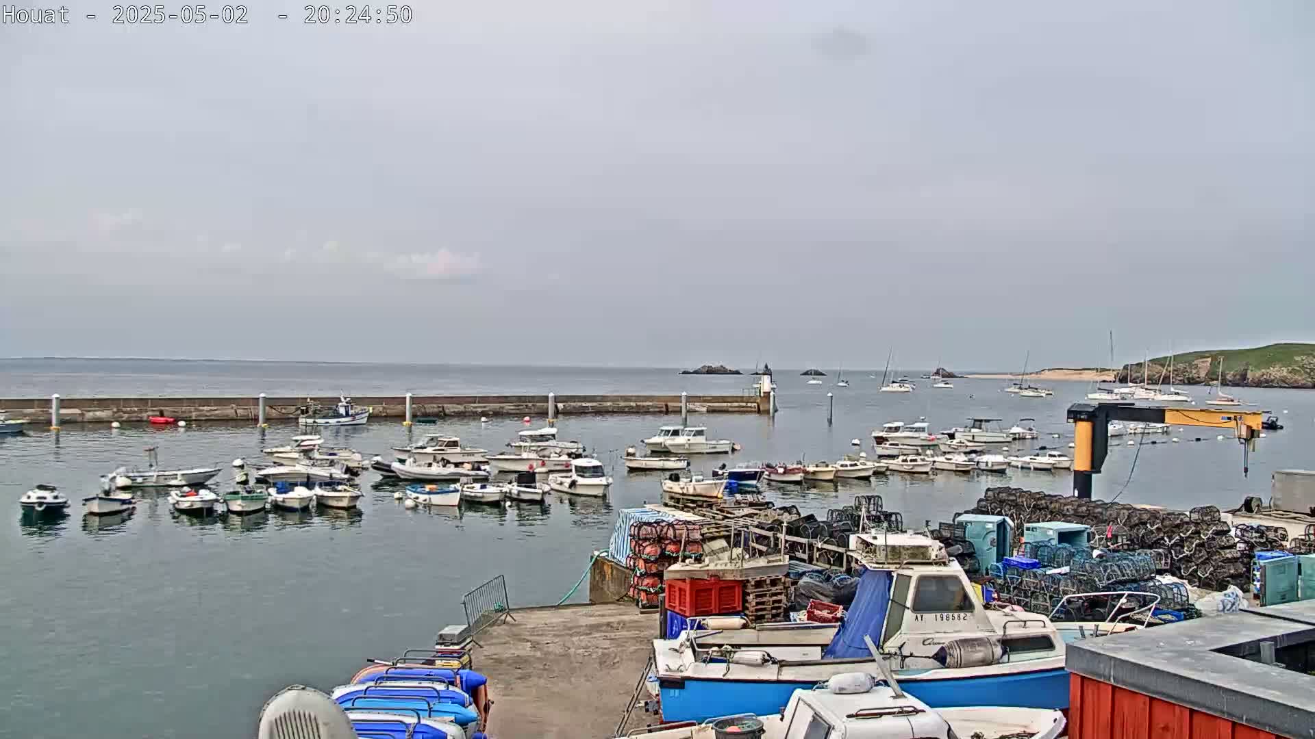 Numerous boats are moored in a harbor on an overcast day, with a small island visible in the distance.