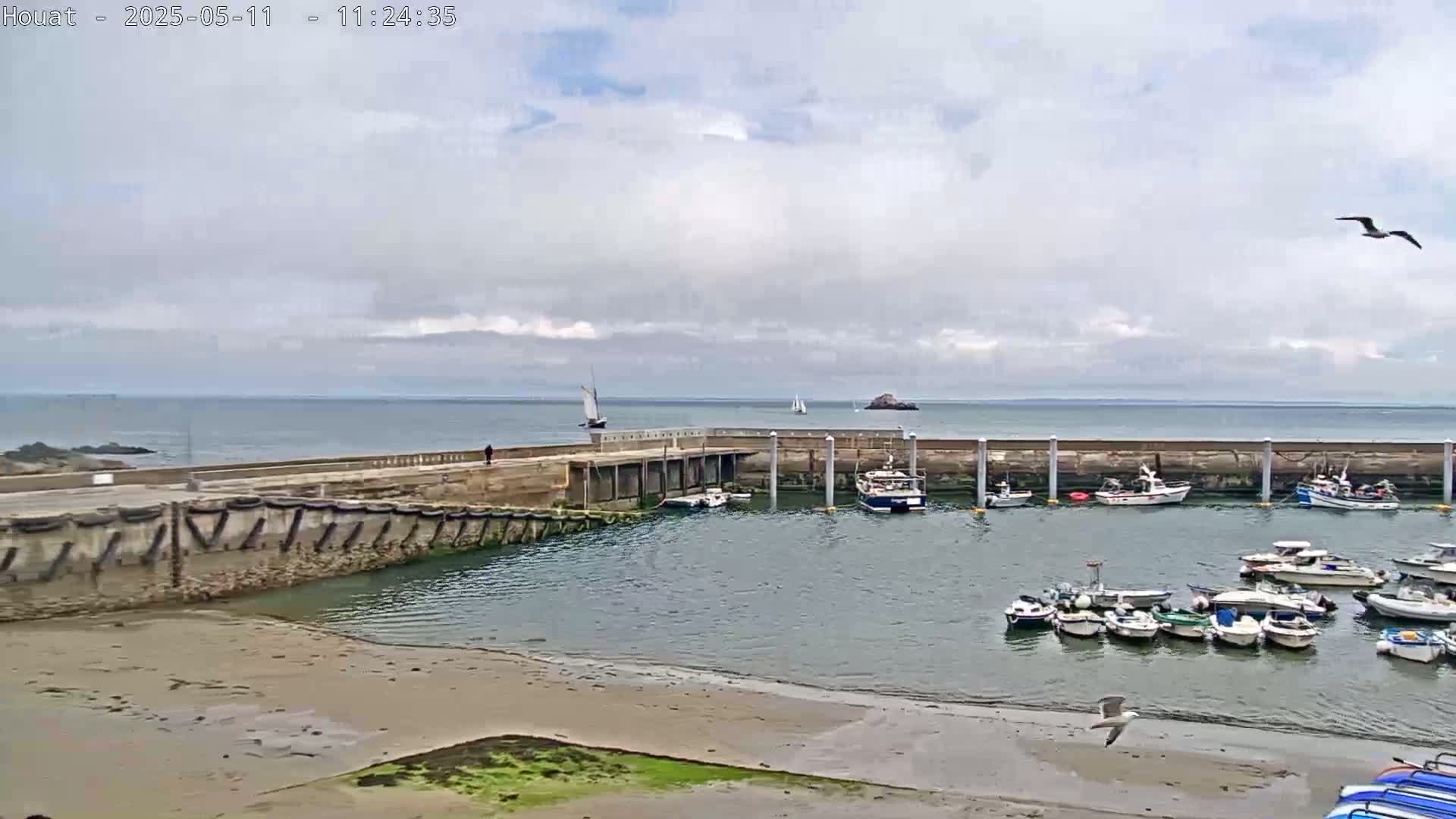 A harbor filled with numerous boats under a mostly cloudy sky, with a sandy beach and seawall visible.