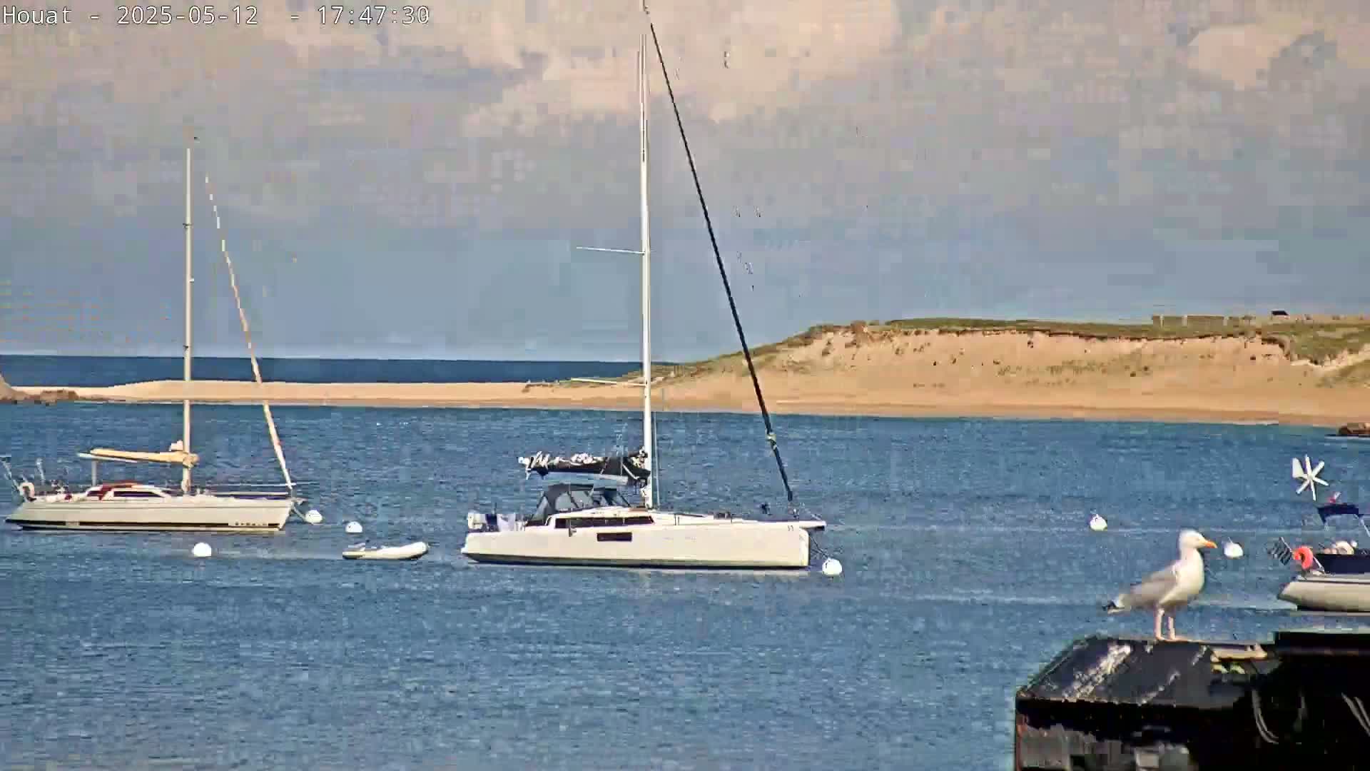 A seagull perches on a dark surface near calm water where two sailboats are anchored, with a sandy shore and a partly cloudy sky in the background.