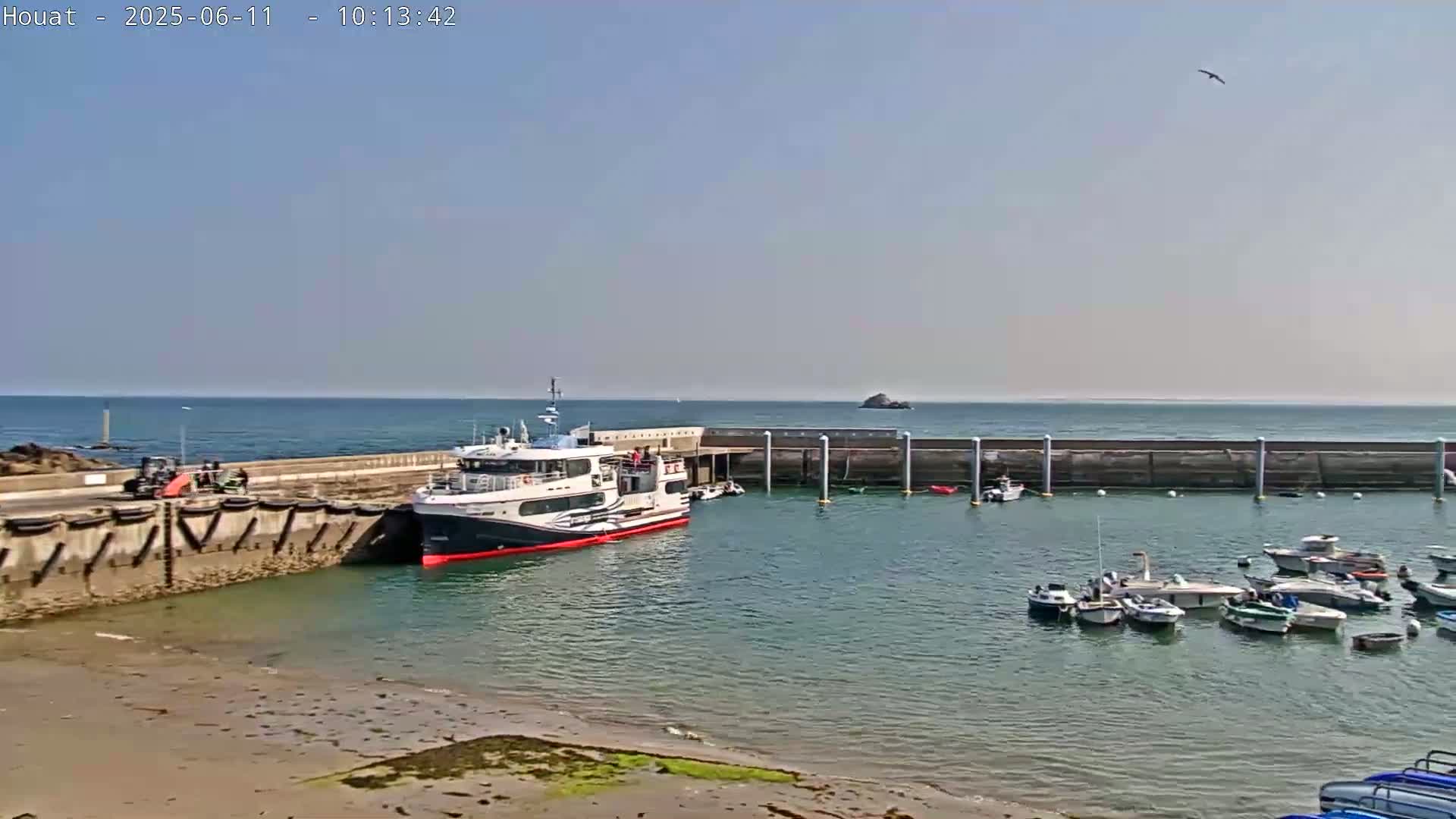A ferry is docked at a harbor with calm water under a clear, sunny sky, and many smaller boats are moored nearby.