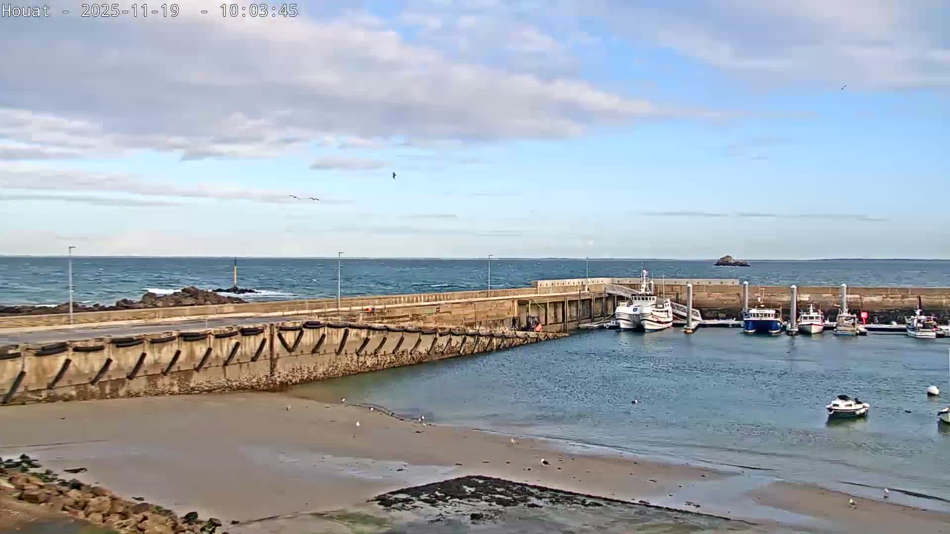A bustling coastal harbor is pictured on a bright, partially cloudy day, featuring several boats docked along concrete piers, a sandy tidal area with seagulls, and the open sea with waves breaking against distant rocks and a small beacon.
