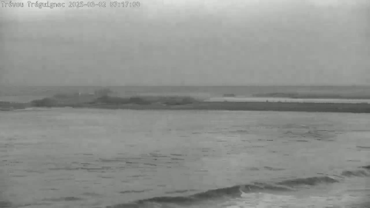 A grayscale image shows a calm sea with small waves lapping the shore under an overcast sky.