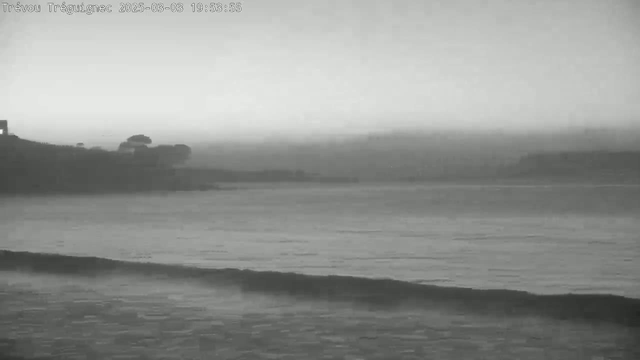 A hazy, overcast day shows a calm body of water lapping a shoreline with low-lying vegetation in the background.