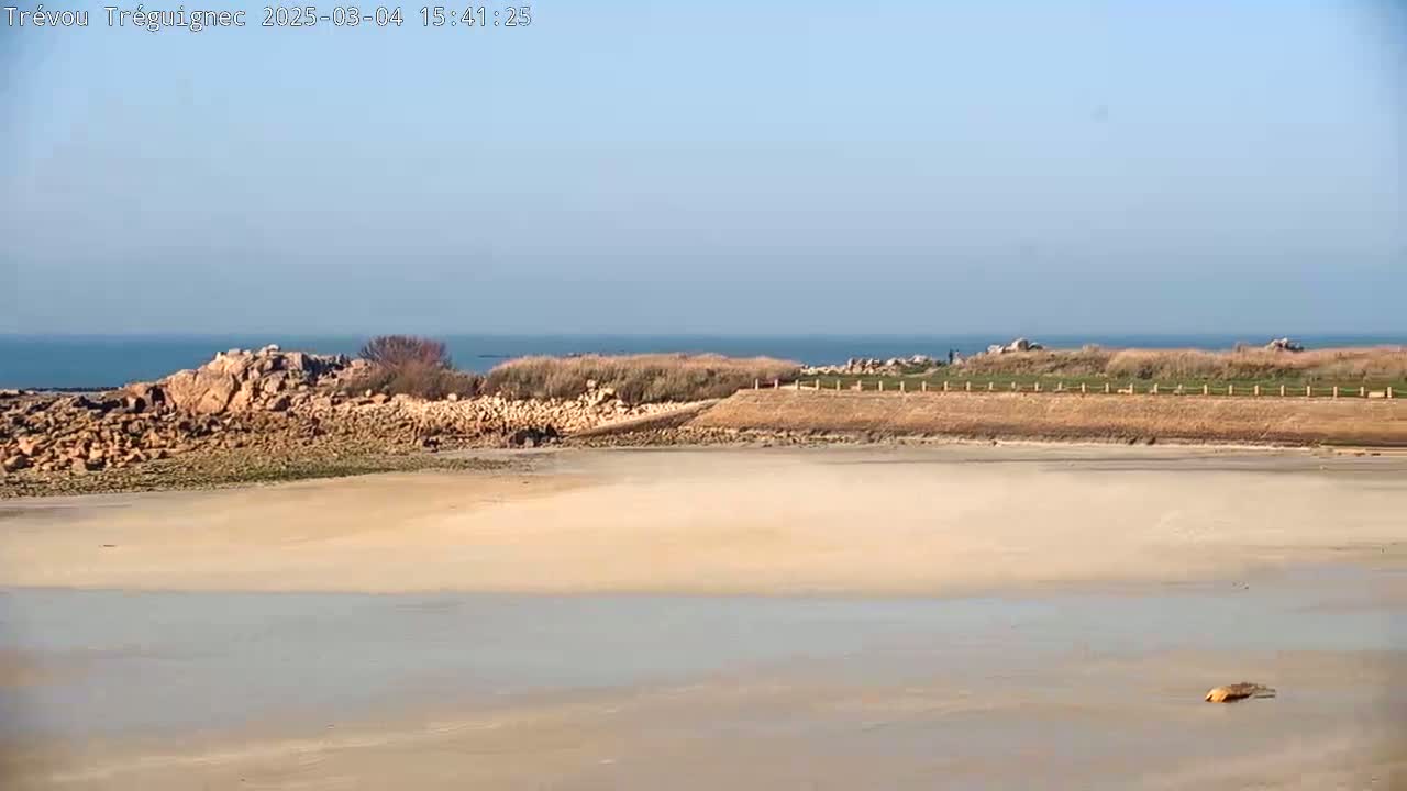 A sandy beach stretches out to a calm ocean under a clear, light blue sky.